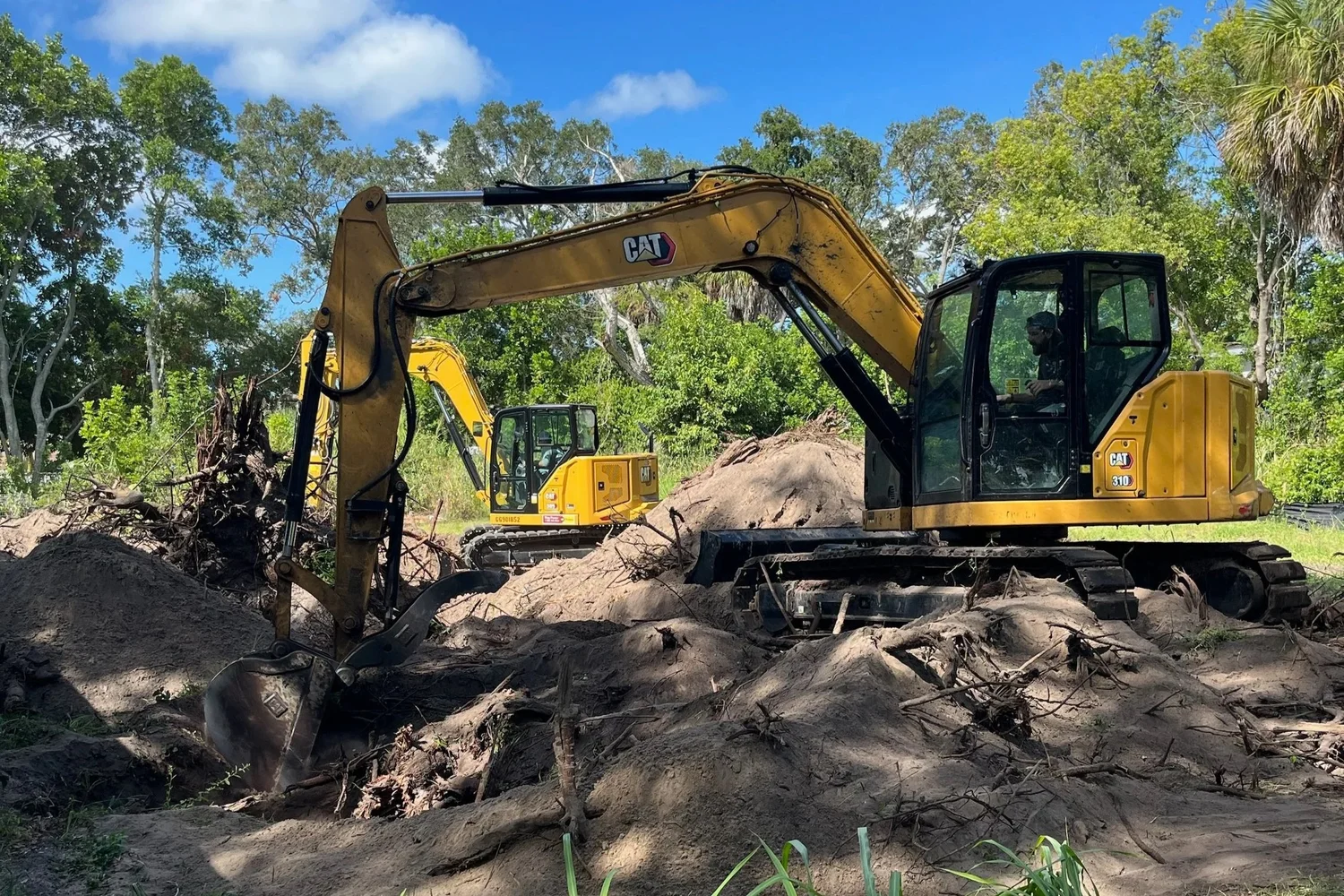 Excavators clearing trees, roots and overgrown land