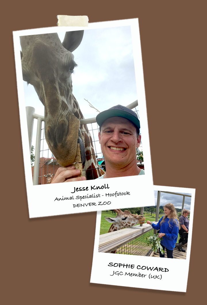 January Get Together