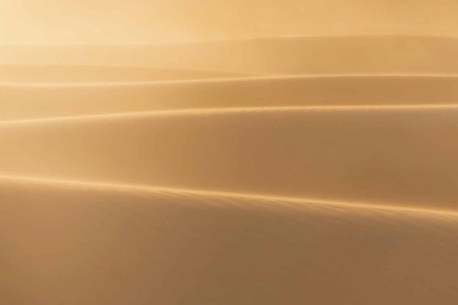 Time-Web.jpg