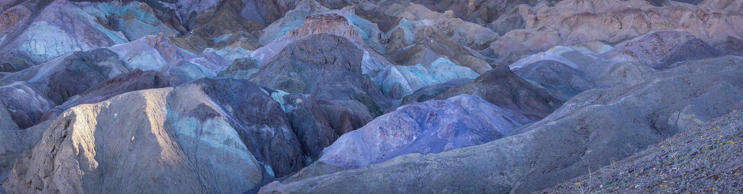 Palette-Web.jpg
