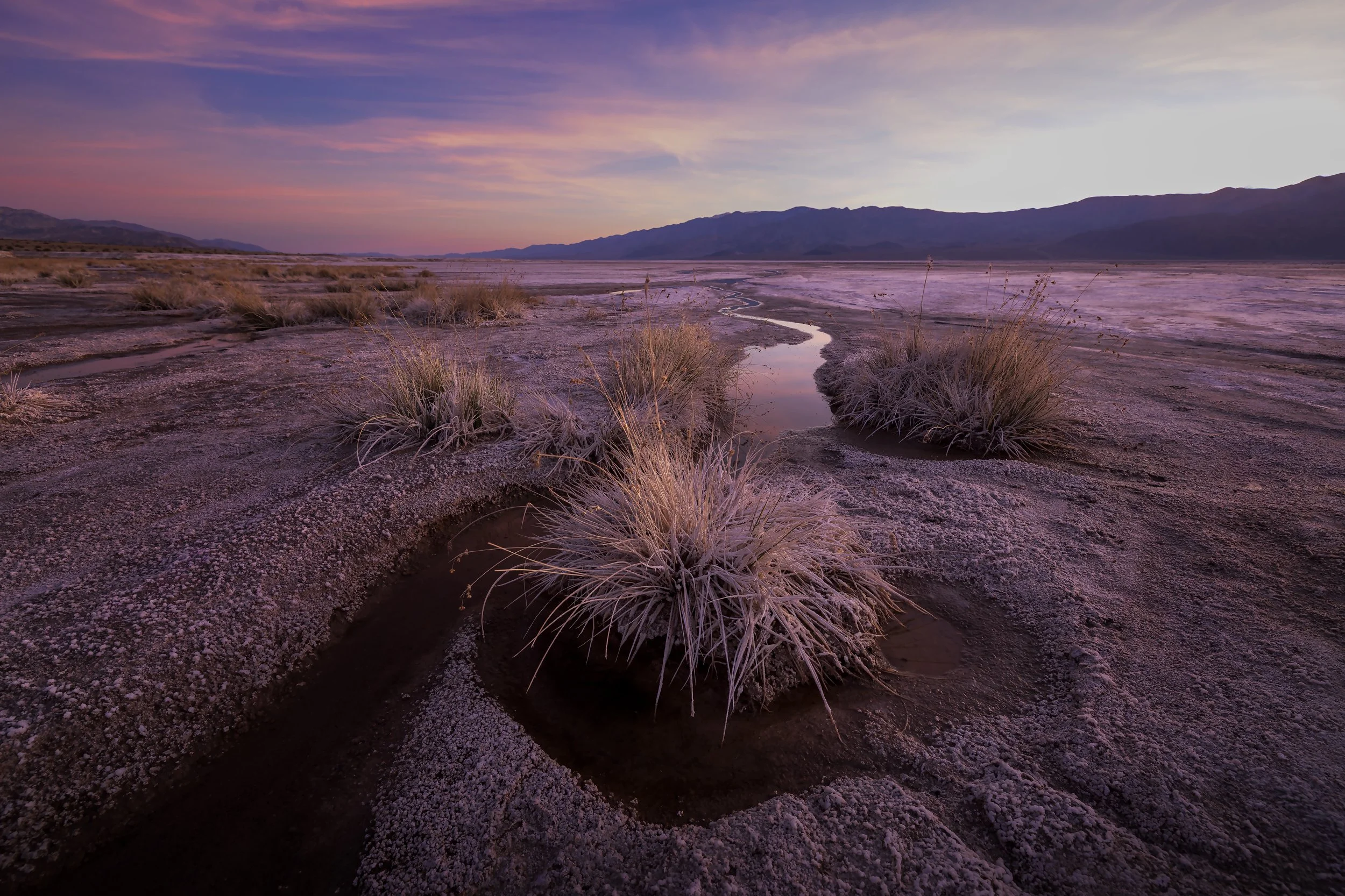 Coyote-Creek-Web-2.jpg