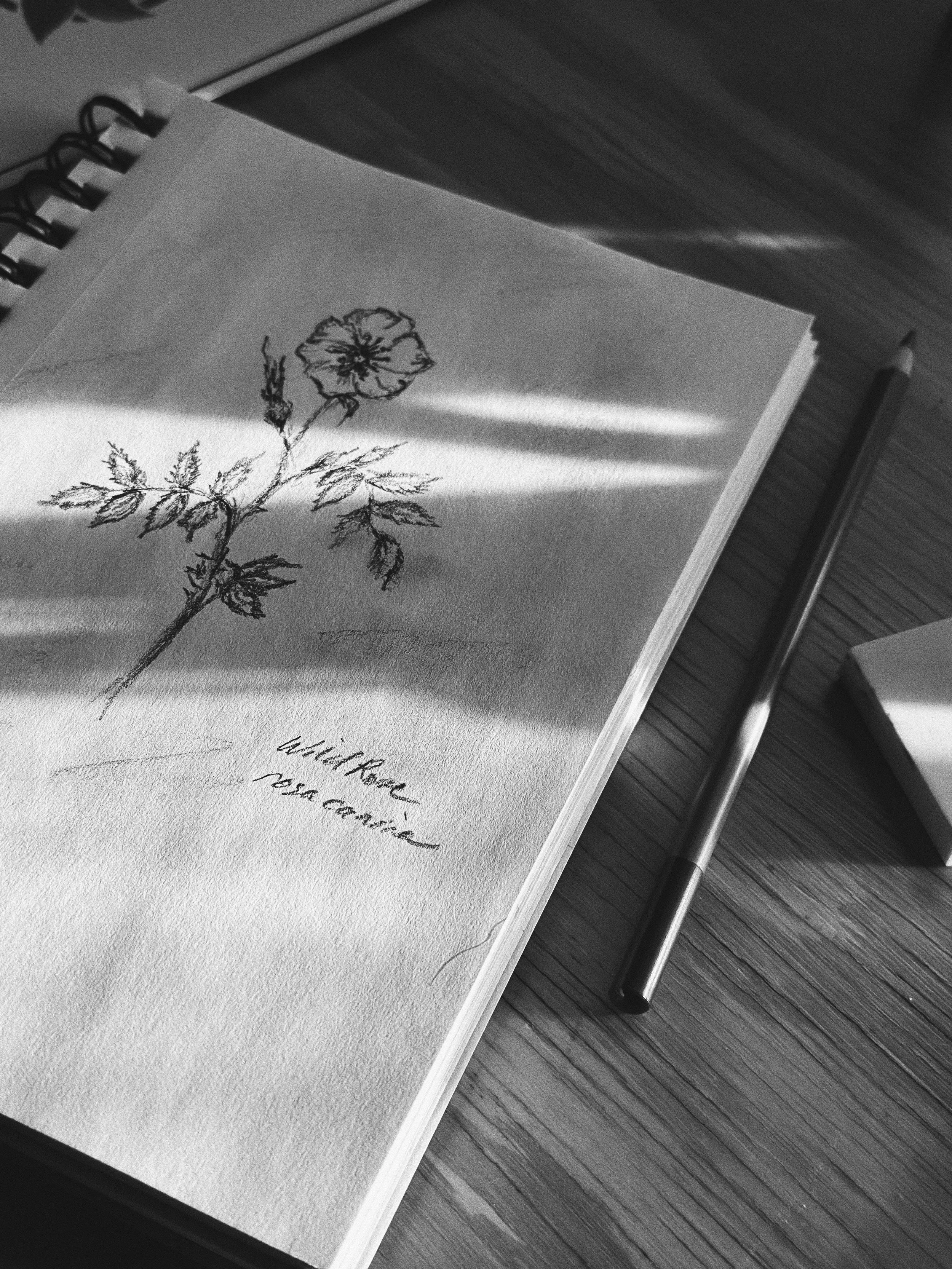 Boiled Down to Nothing