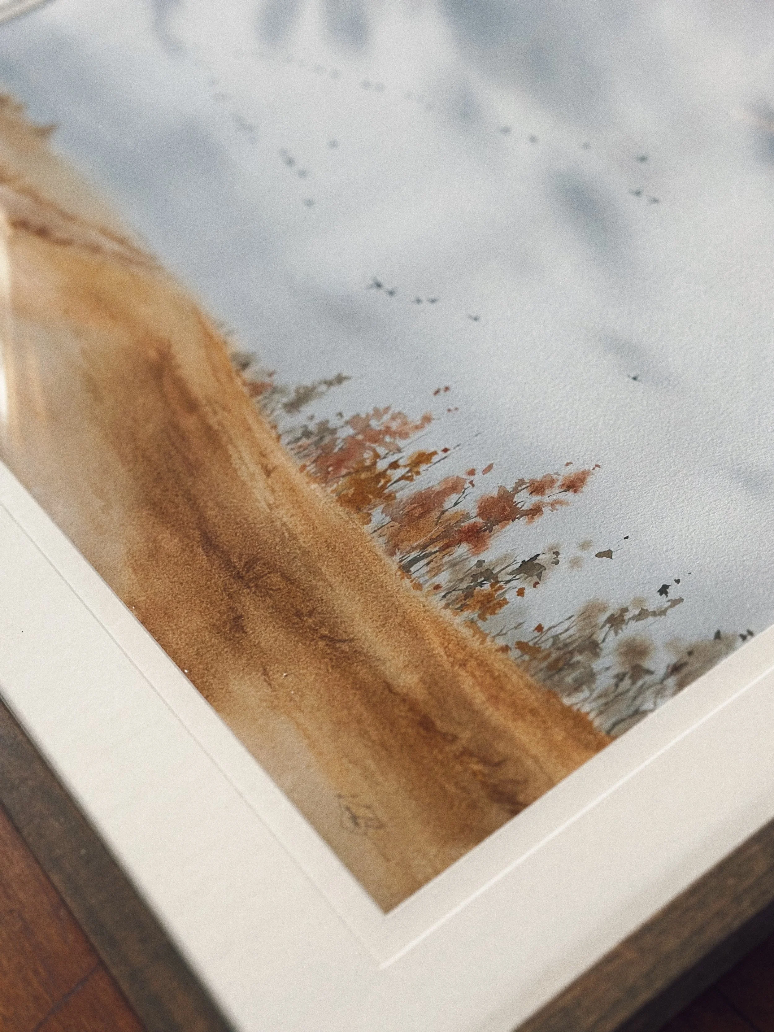 FullSizeRender_VSCO 318.JPG