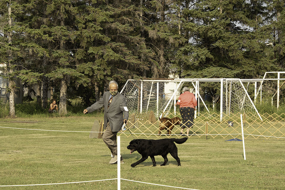 DSC_0613.jpg