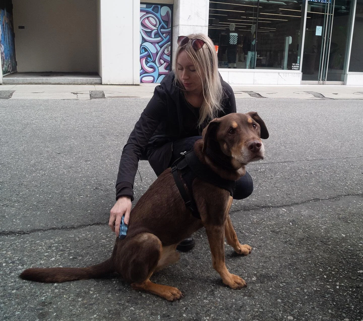 2022, ruff year 🥲 

many tears.
many lessons. many new opportunities.

I just got a bunch of photos that were withheld from me over the past year before and after Jude passed so imma be posting those in the coming weeks, just fyi. I think the show t