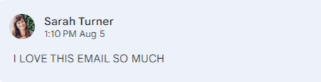 Screenshot of an email from Sarah Turner expressing love for the email content.
