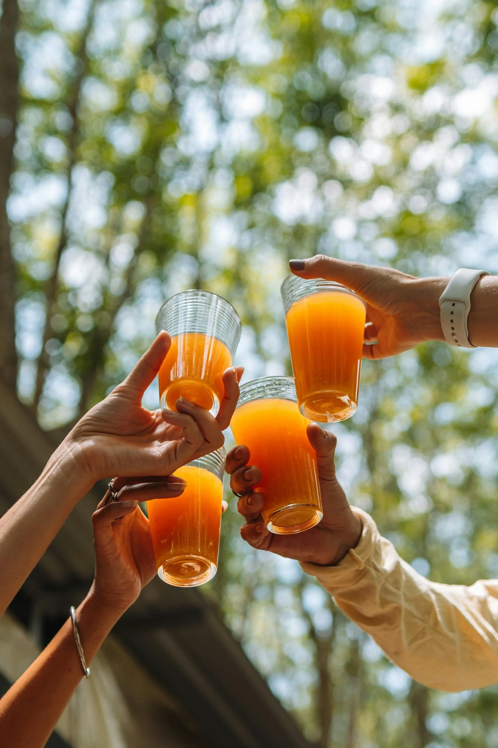 Multiple people raising glasses filled with orange juice outdoors with trees and blue sky in the background.