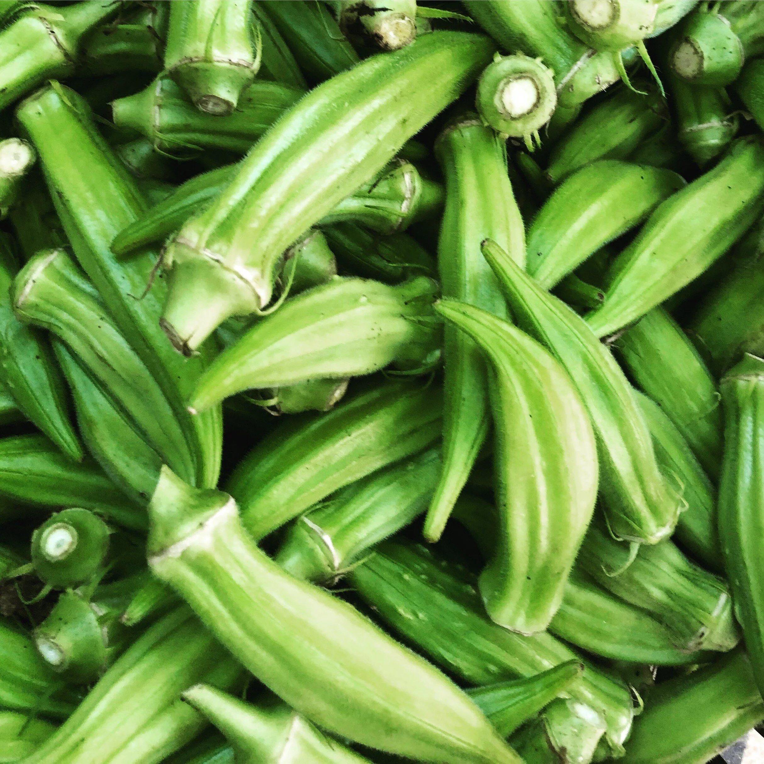 Sautéed Peppers and Okra 