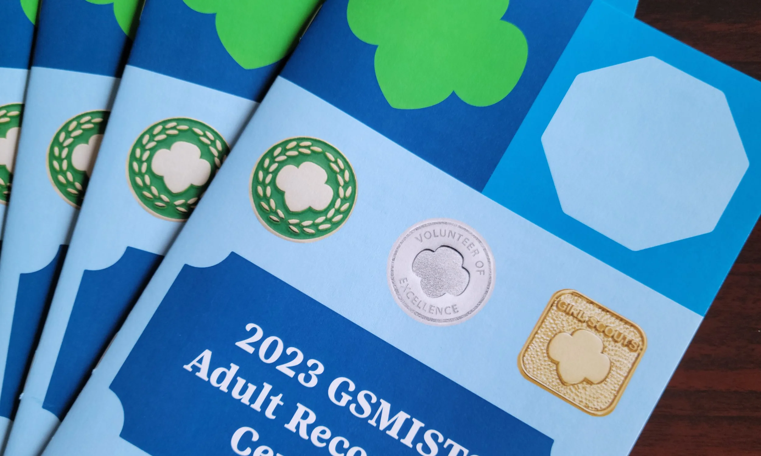 Girl Scout Adult Recognition Ceremony