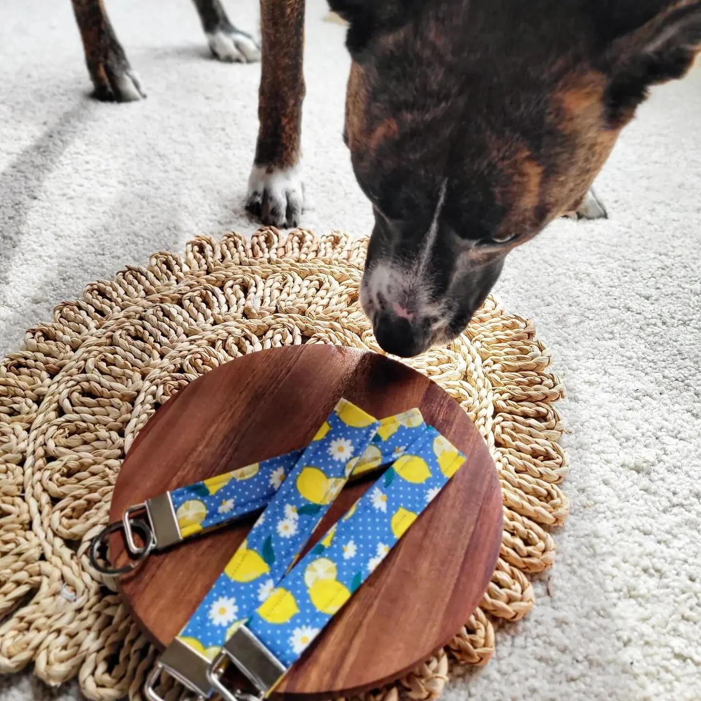 Intern Naboo's favorite wristlet has to be the 🍋 lemons! 

If you agree with Naboo, drop a🍋 in the comments below 👇! 
.
.
.
.
#lemons #handmade #wristlets #sewing #lemon #keychain