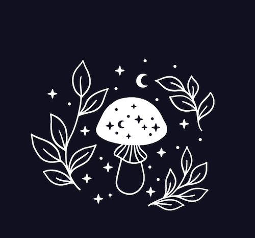 Screenshot 2024-02-17 at 11.04.07 PM.png