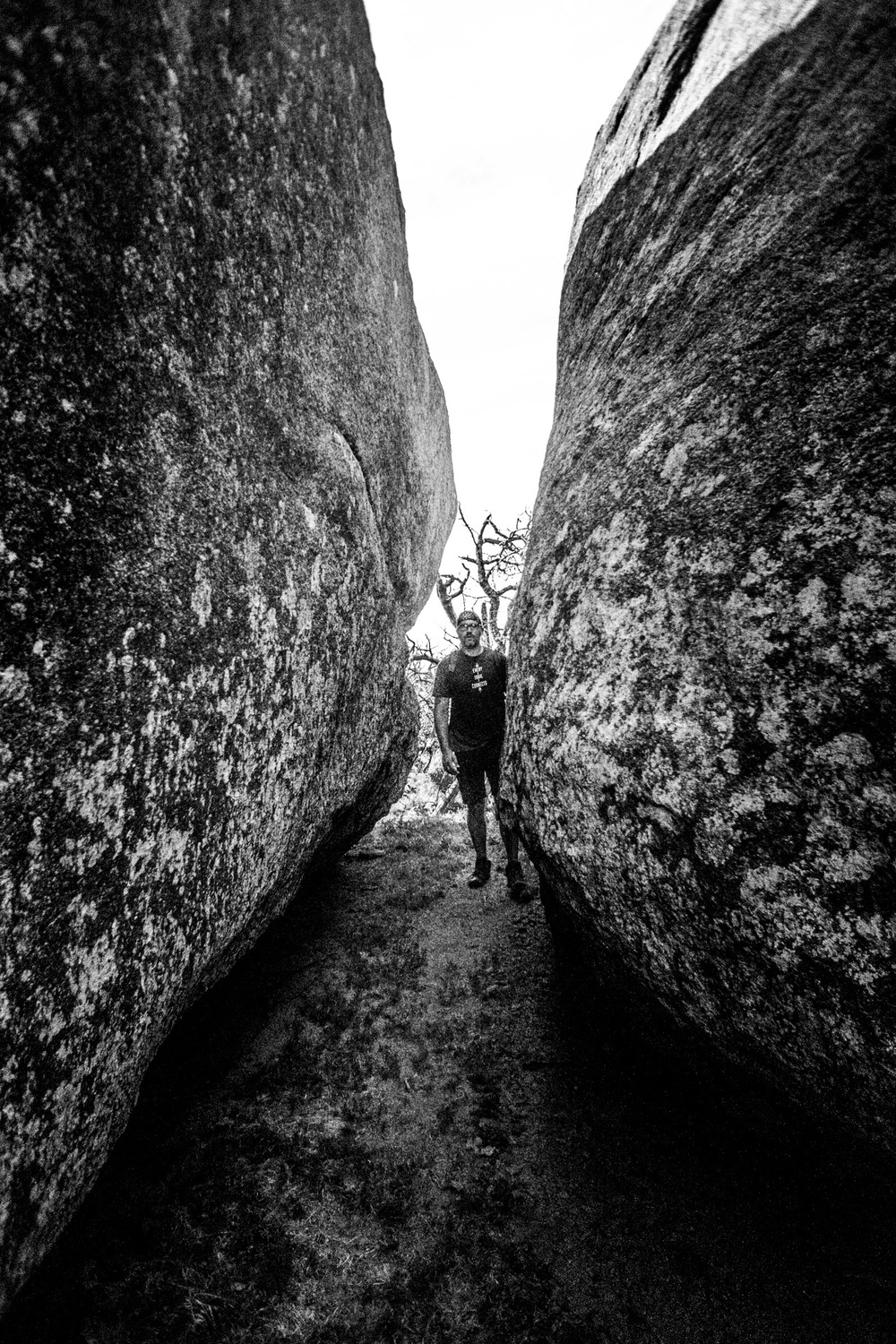 Mount Mitchell B&W 08-07-16 (32 of 35).jpg