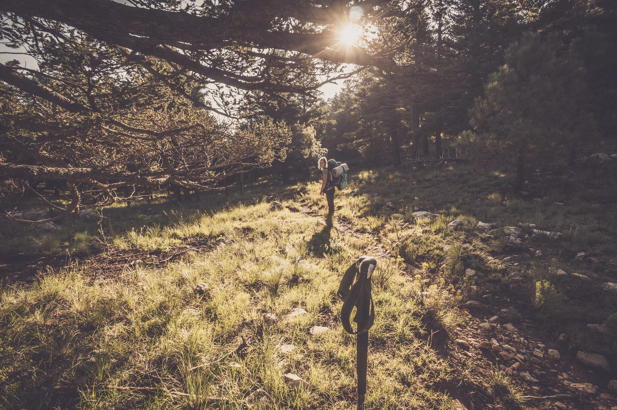 The Guadalupe Mountains
