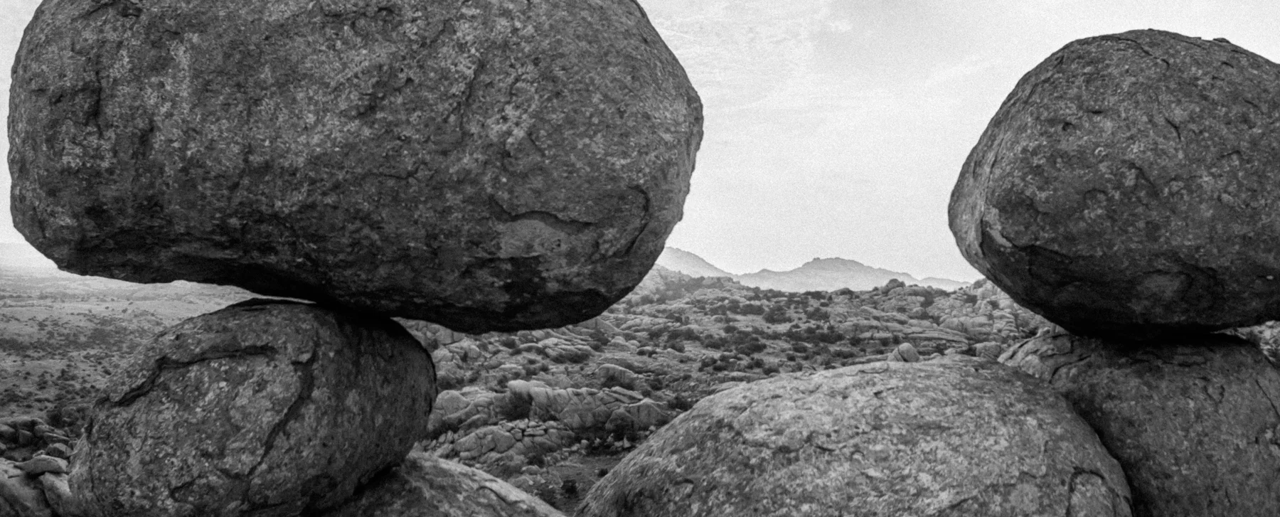 Right Between the Crab Eyes