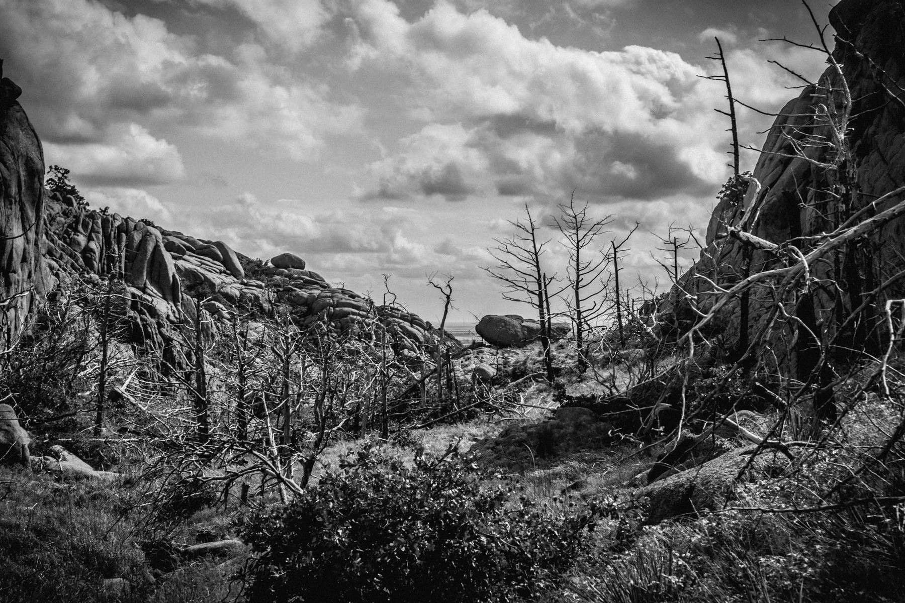 A nine-mile solo hike 