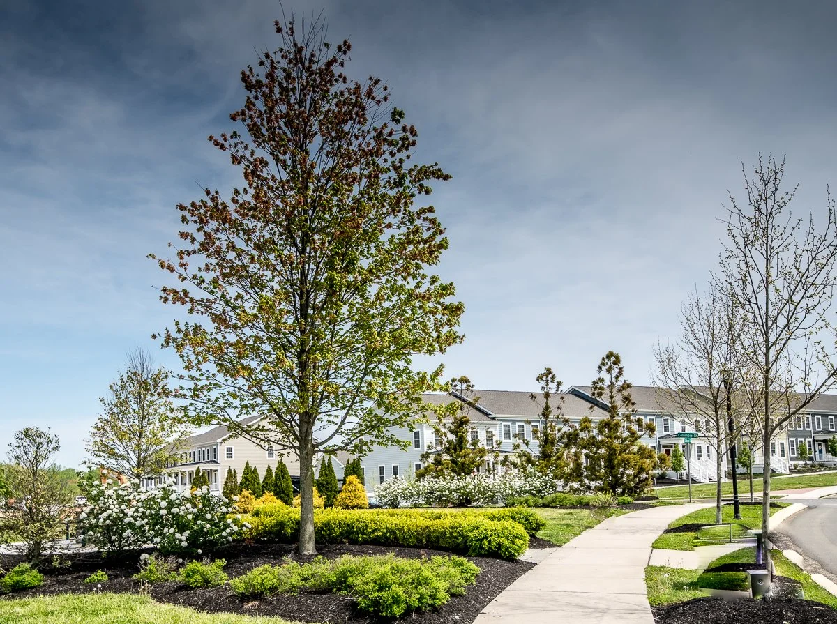 LANDSCAPE ARCHITECTURE EXPERIENCE 