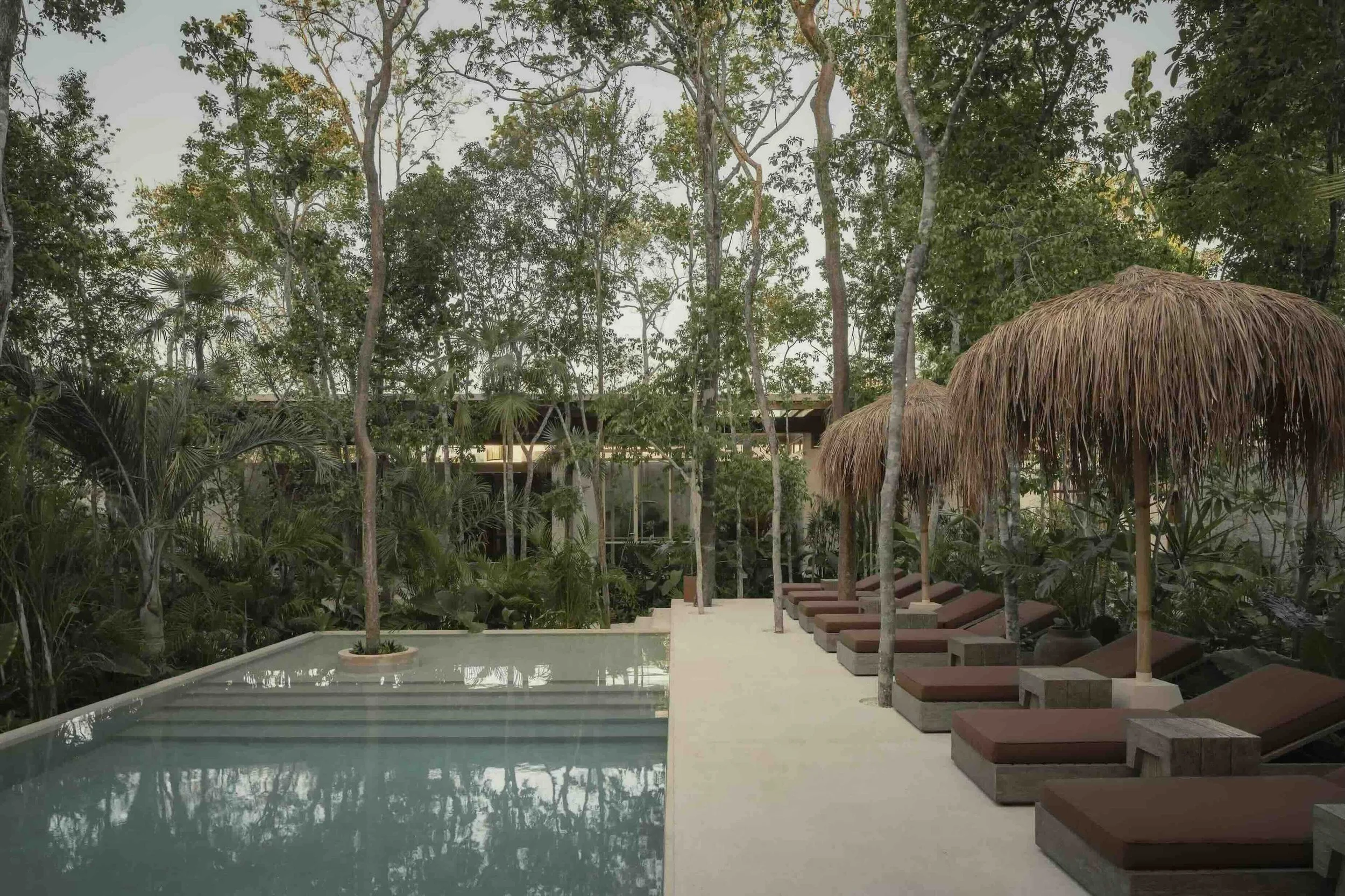 Swimming pool and shaded loungers surrounded by jungle at NABOA in Tulum.