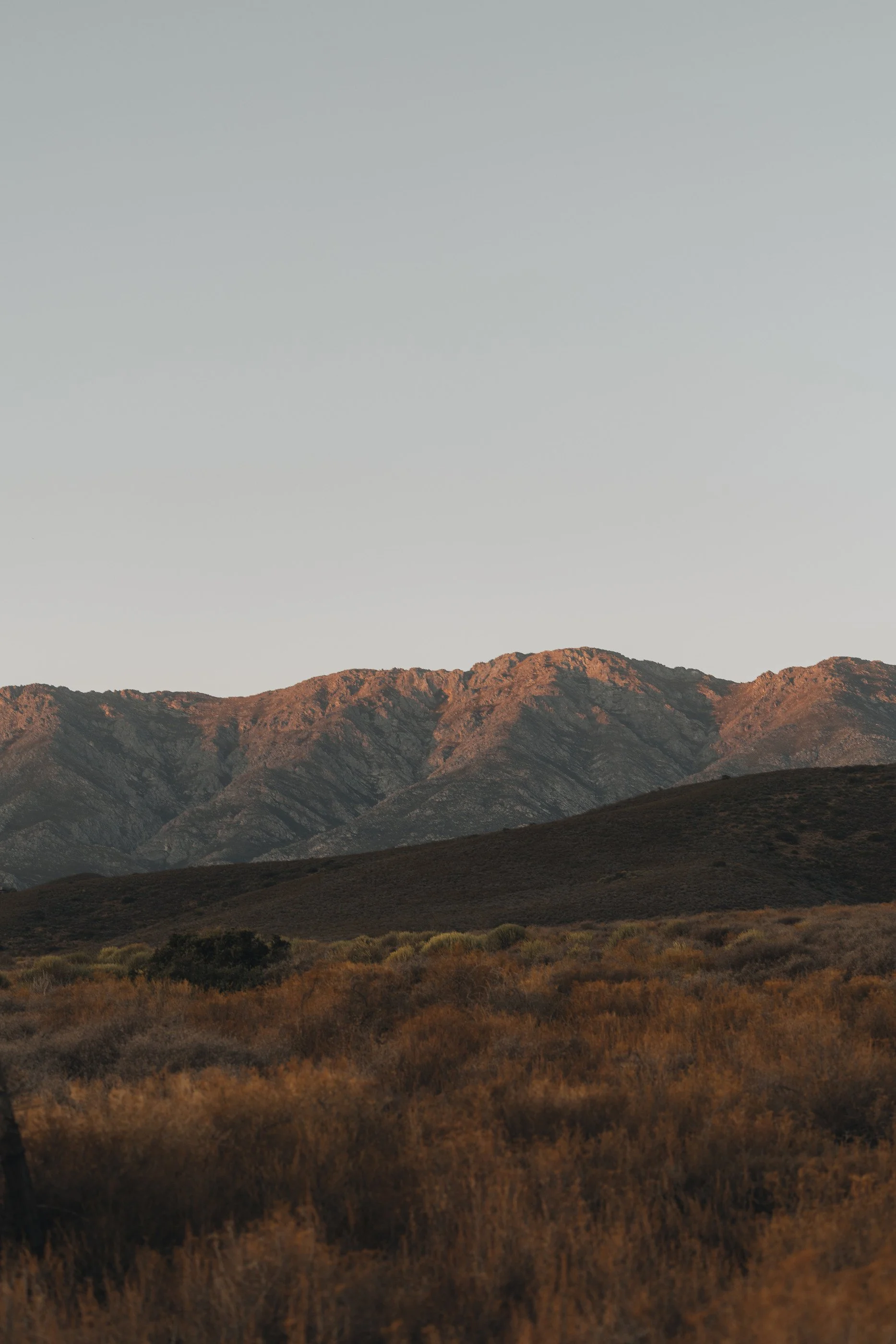 Warm evening light on a mountain ridge above dry grassland.