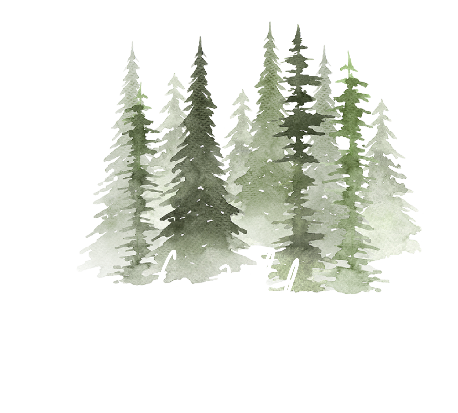 Wilder Virtual Assistants