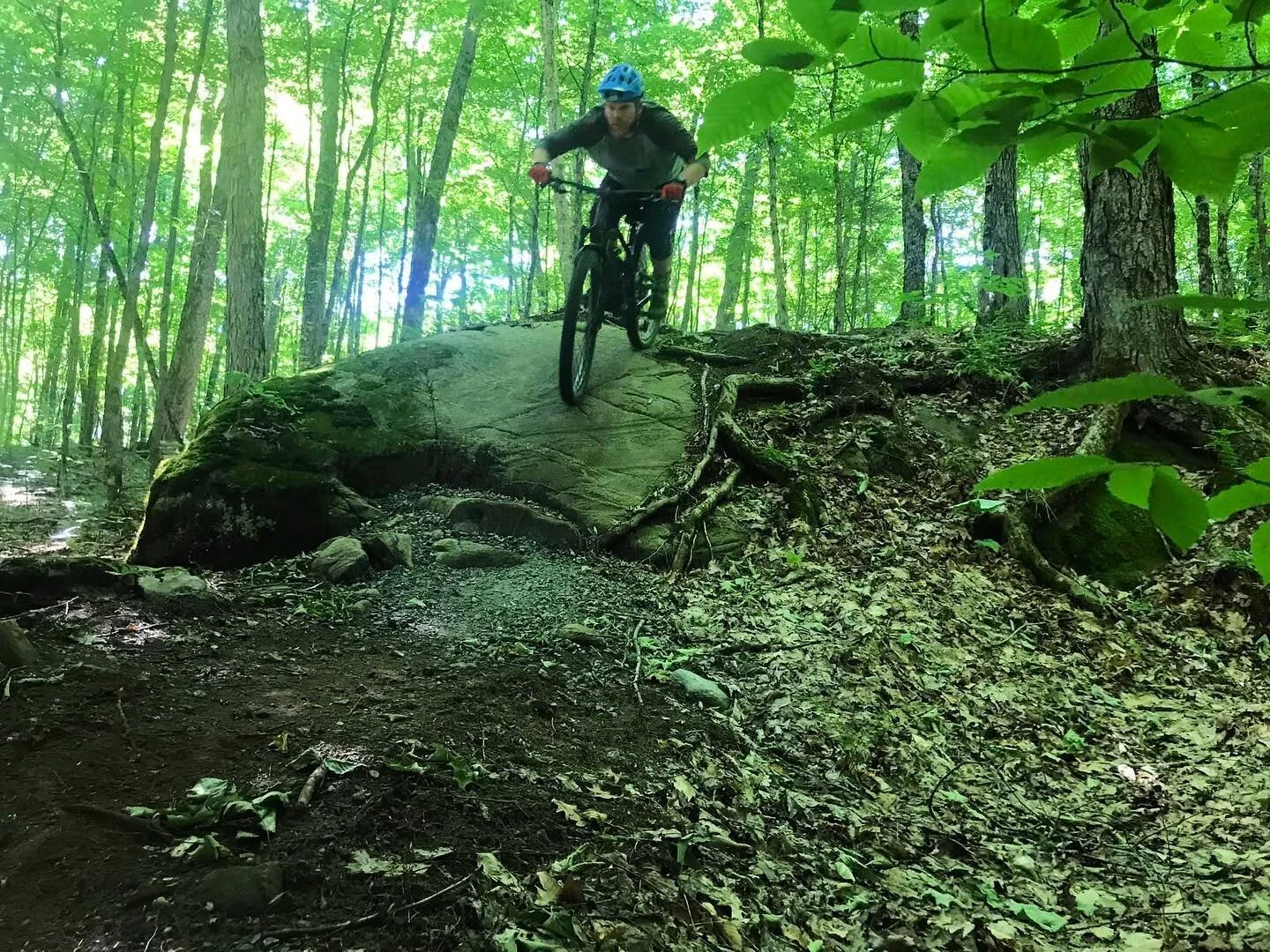 Gotta love Muskoka granite. @morcamtb