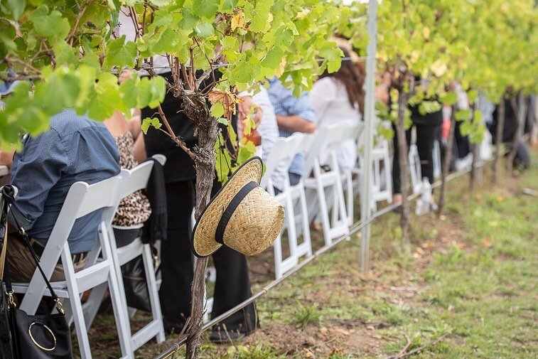 Enjoy the ultimate in long lunches set literally in the middle of a vineyard in the Southern Highlands!

Join us at our Southern Highlands Indulgence Weekend on 20/21 March and enjoy the Wine Harvest Lunch in the St Maur Vineyard and a wine tasting m