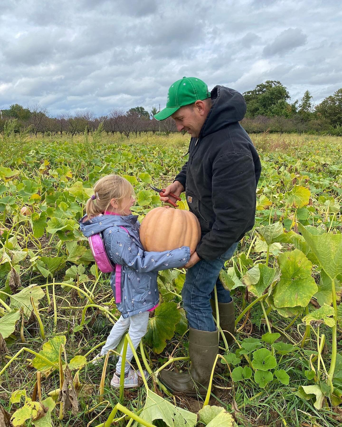 Beautiful Fall evening picking pumpkins and apples with grandkids Ava and Owen❤️