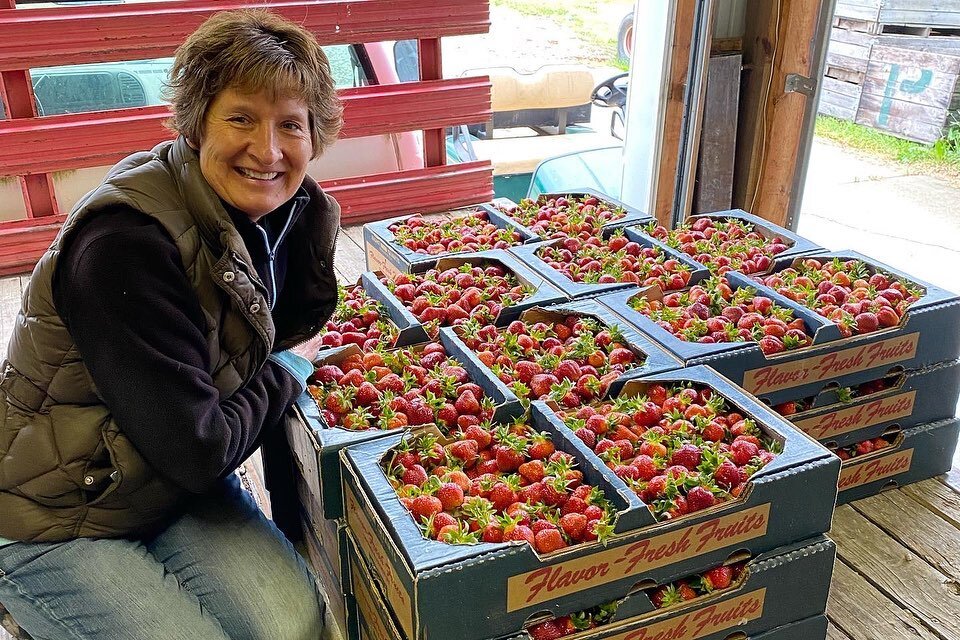 We are at the Elmhurst farmers market today, rain or shine, with our fresh Michigan strawberries from our farm!  We also have our vine ripened tomatoes, grape tomatoes, lettuce, asparagus, rhubarb, sugar snap peas, English cucumbers and flowers!  Com