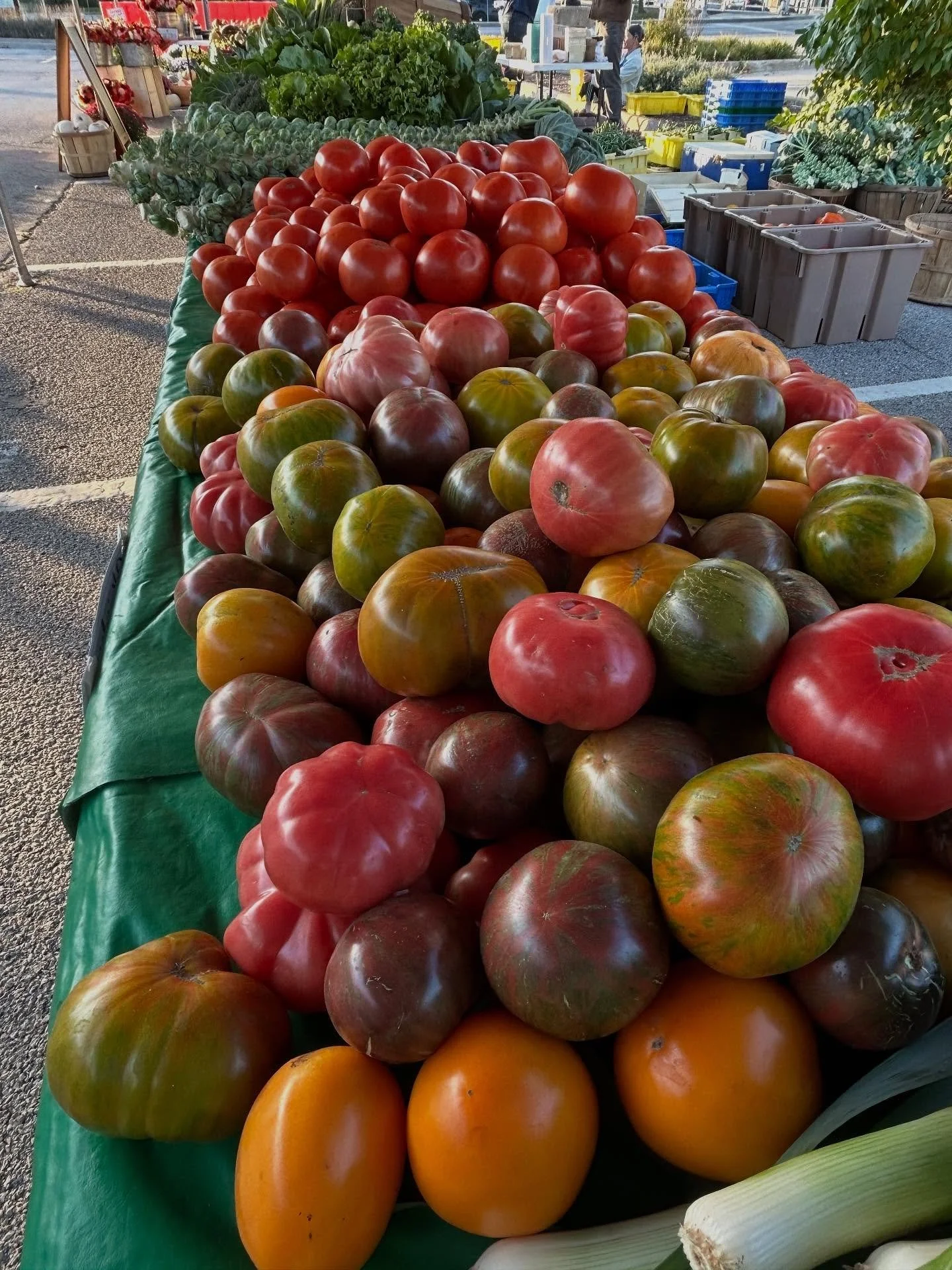 October brings still a lot of our goodies on the farm!  We will be at our markets through October!
We will have our Michigan sweet corn, tomatoes and heirlooms, onions, Fall squash, potatoes, zucchini, cucumbers, assortment of peppers, eggplant, caul