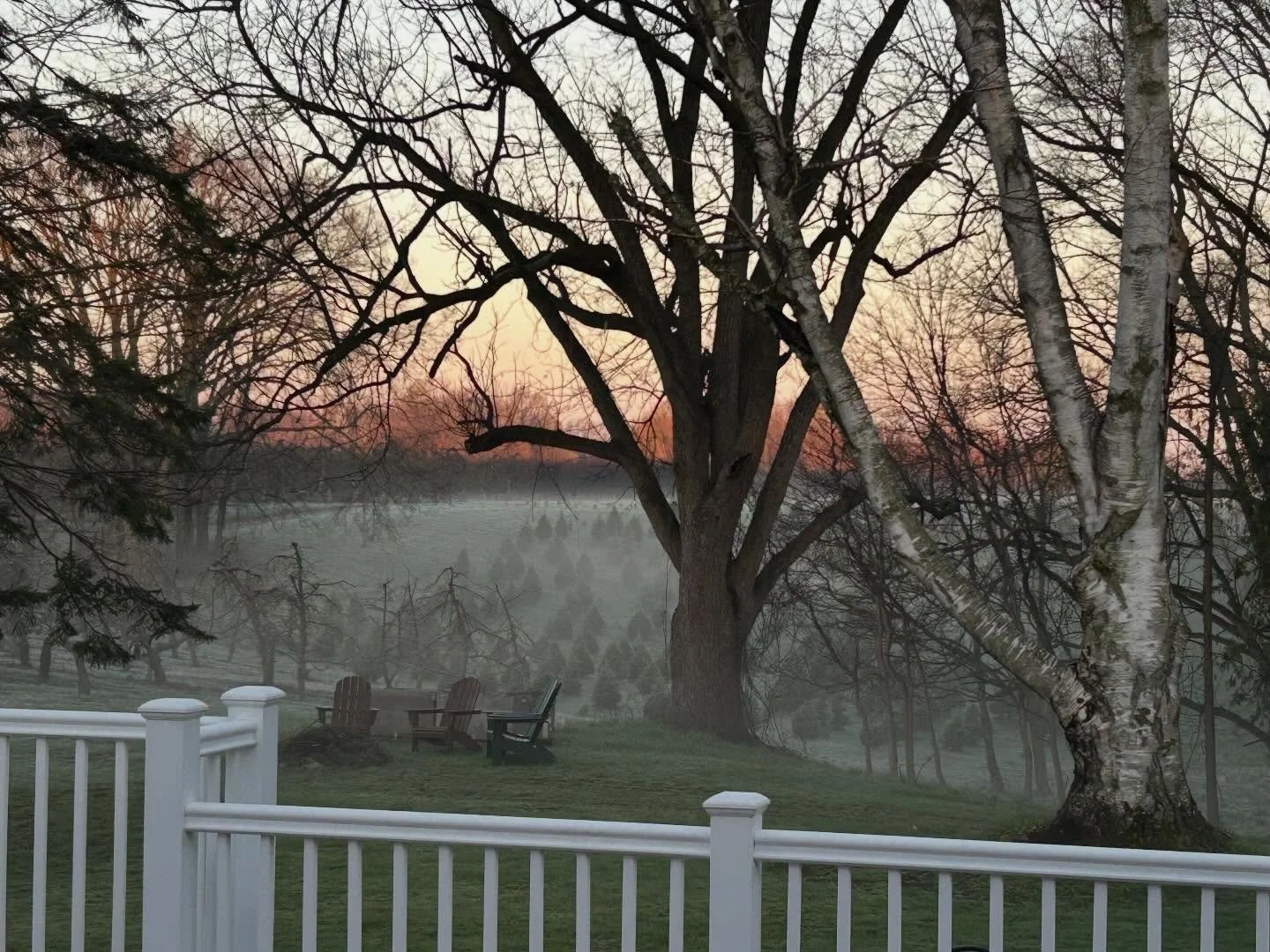 Even though Dean was up all night irrigating our strawberries because of freezing temps, there is something about taking in the morning after for a moment which is always beautiful and peaceful on the farm before we start our very busy day ❤️