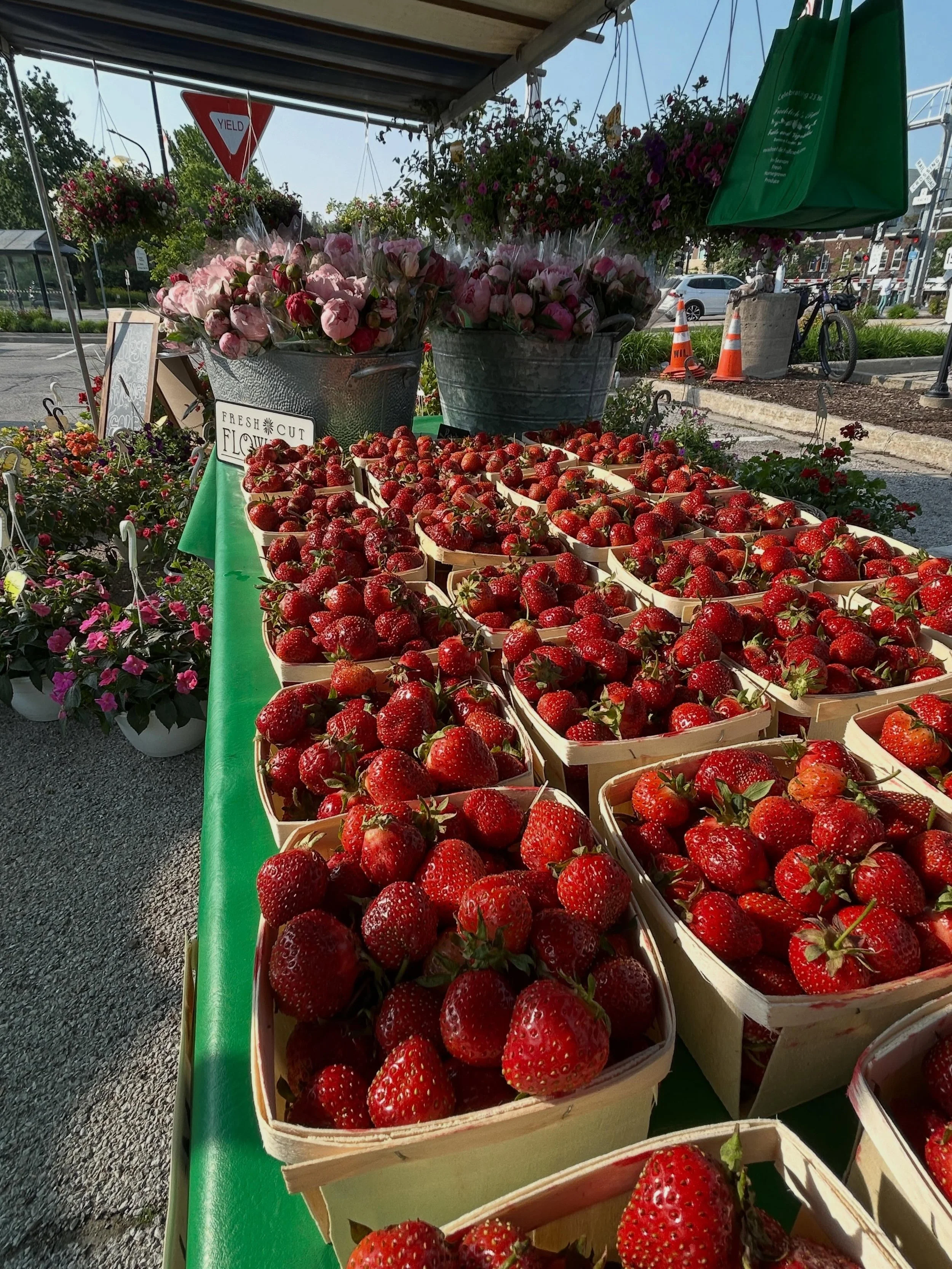 Our Michigan strawberries from our farm are ready now!  We will have fresh strawberries, asparagus, rhubarb, grape tomatoes, greenhouse tomatoes (yum yum), herbs, beautiful flower baskets and pots! ❤️
