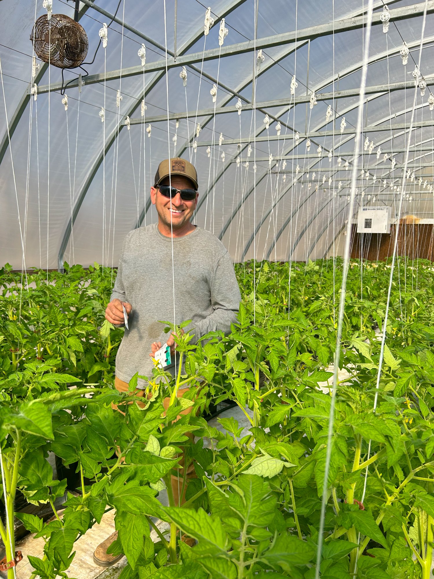 Greenhouse