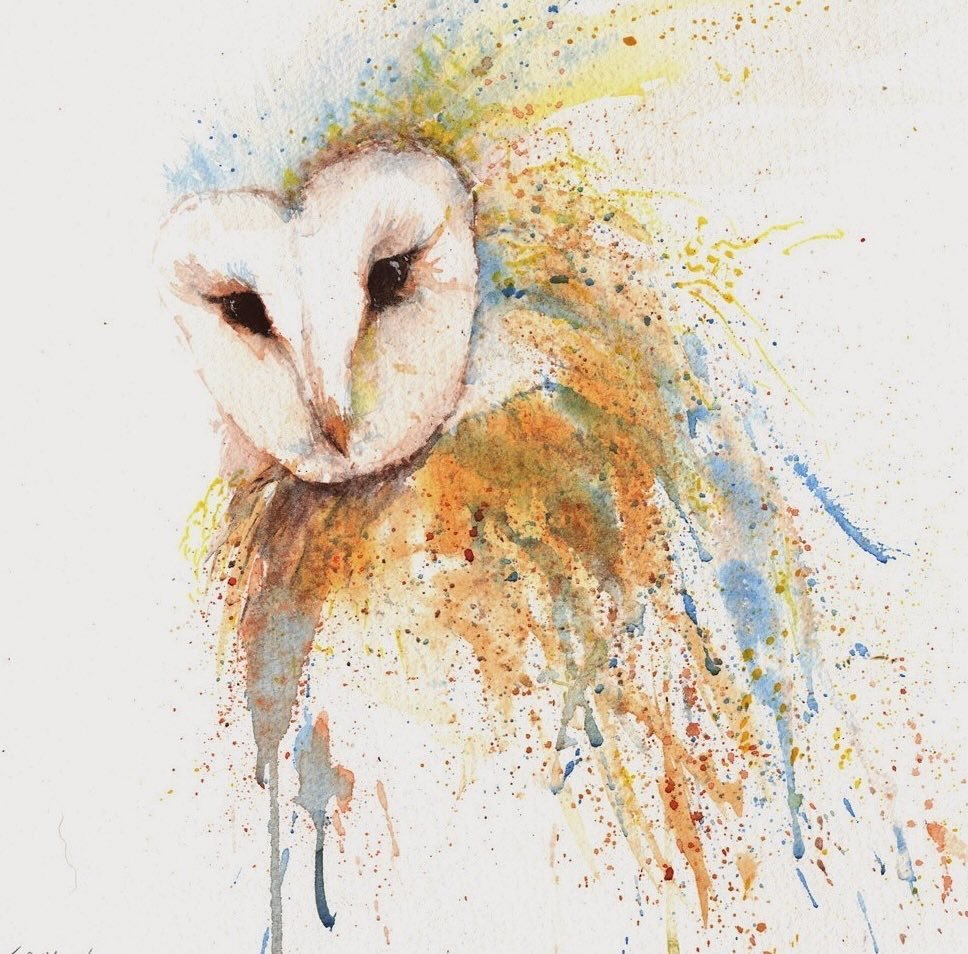 'The look'... this guy was painted in 2013, and went to live in the Middle East. I have a fascination with owls, both real, and to paint 🦉 

#owl #barnowl #wildlifeart #wildlifepainting #owlwatercolour #owlwatercolor #watercolour #watercolor #waterc