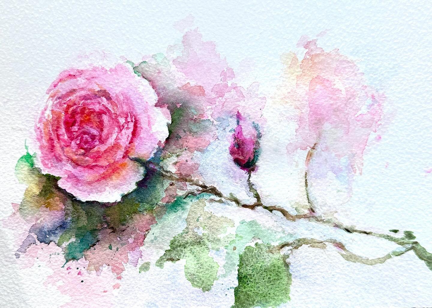 I've had a happy day today in my sunny studio, painting roses 🌹 Happy Friday! 

#watercolourartist #watercolor #watercolour #watercolourpainting #watercolorpainting #flowerpainting #floralpainting #watercolourist #watercolorillustration #watercolorf