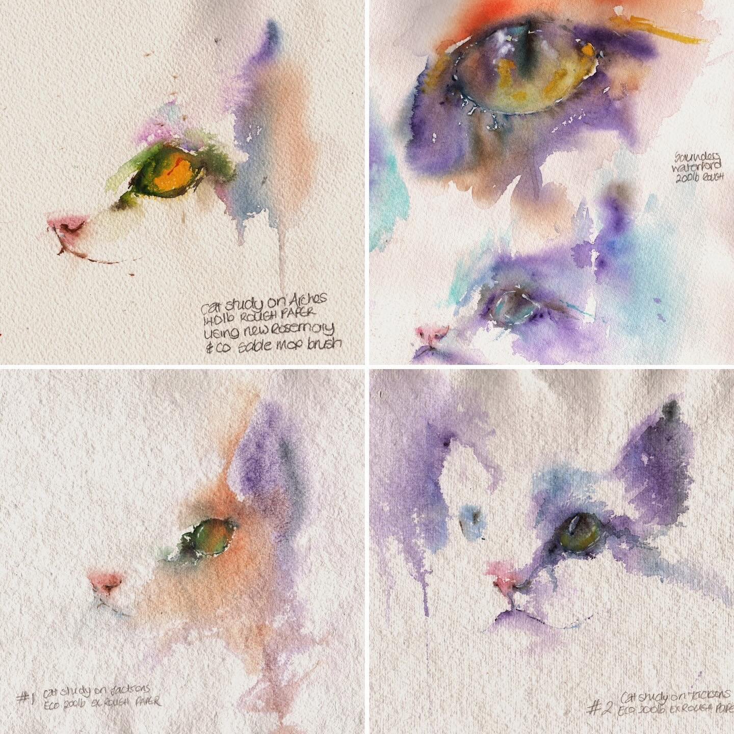 Here are a few cats eyes studies I did on various watercolour papers. Experimentation in the studio is so important for my growth and development. It's also lots of fun without the pressure of finishing. 

#watercolor #watercolour #watercolorstudy #w