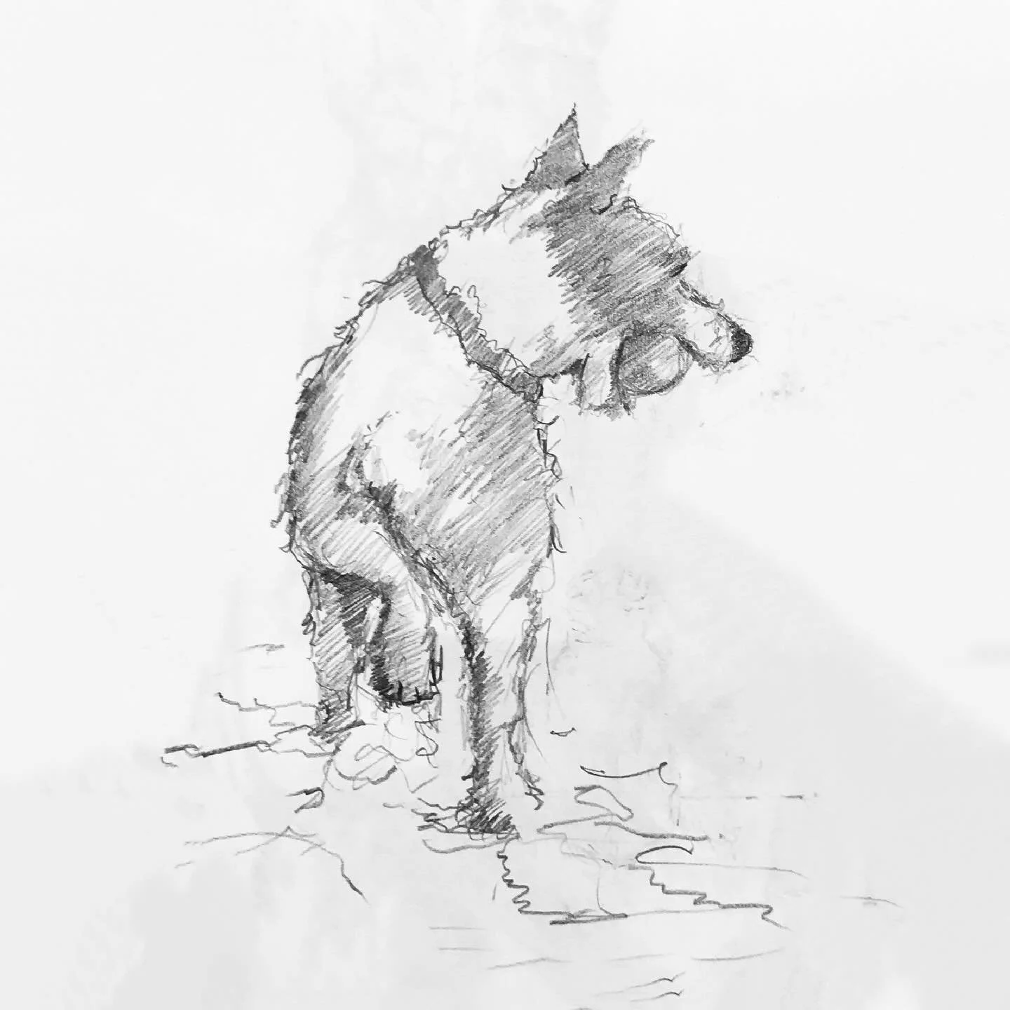 Terrier with his ball in my sketchbook 
#drawing #sketch #sketching #sketchbook #pencilsketch #dogsketch #dogdrawing