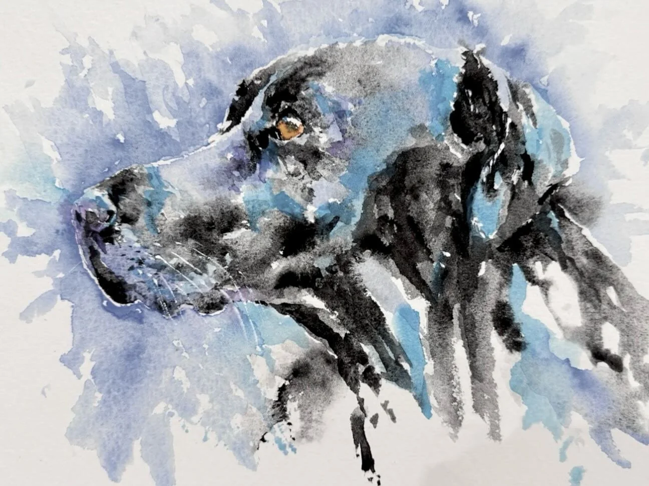 This is my lovely boy, #blacklab Noel 🐾 Painting my own pets, with the personal connection and love I have for them, gives me the best painting experience ever! 

#labrador #blacklabrador #watercolour #watercolor #dogpainting #petportrait #watercolo