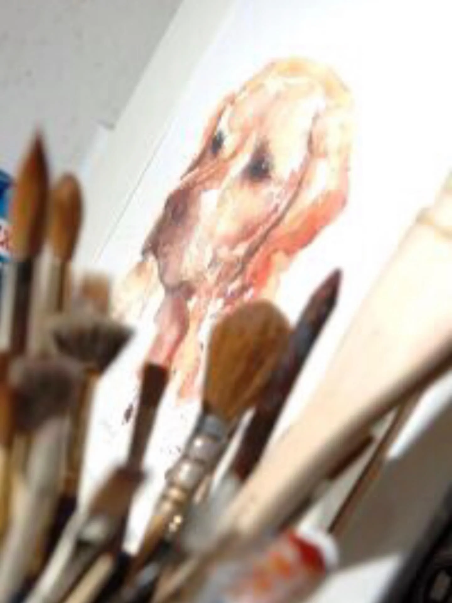 Studio pic #watercolour #watercolor #watercolourartist #dogpainting #petportrait
