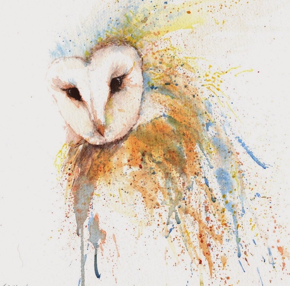 Obsessed with owls! I hear their haunting notes a lot outside our house, they even land on our fence and roof sometimes! 🦉 

'The look', watercolour on 12x12" paper (sold)

#watercolour #barnowl #watercolorart #watercolourpainting #owlart