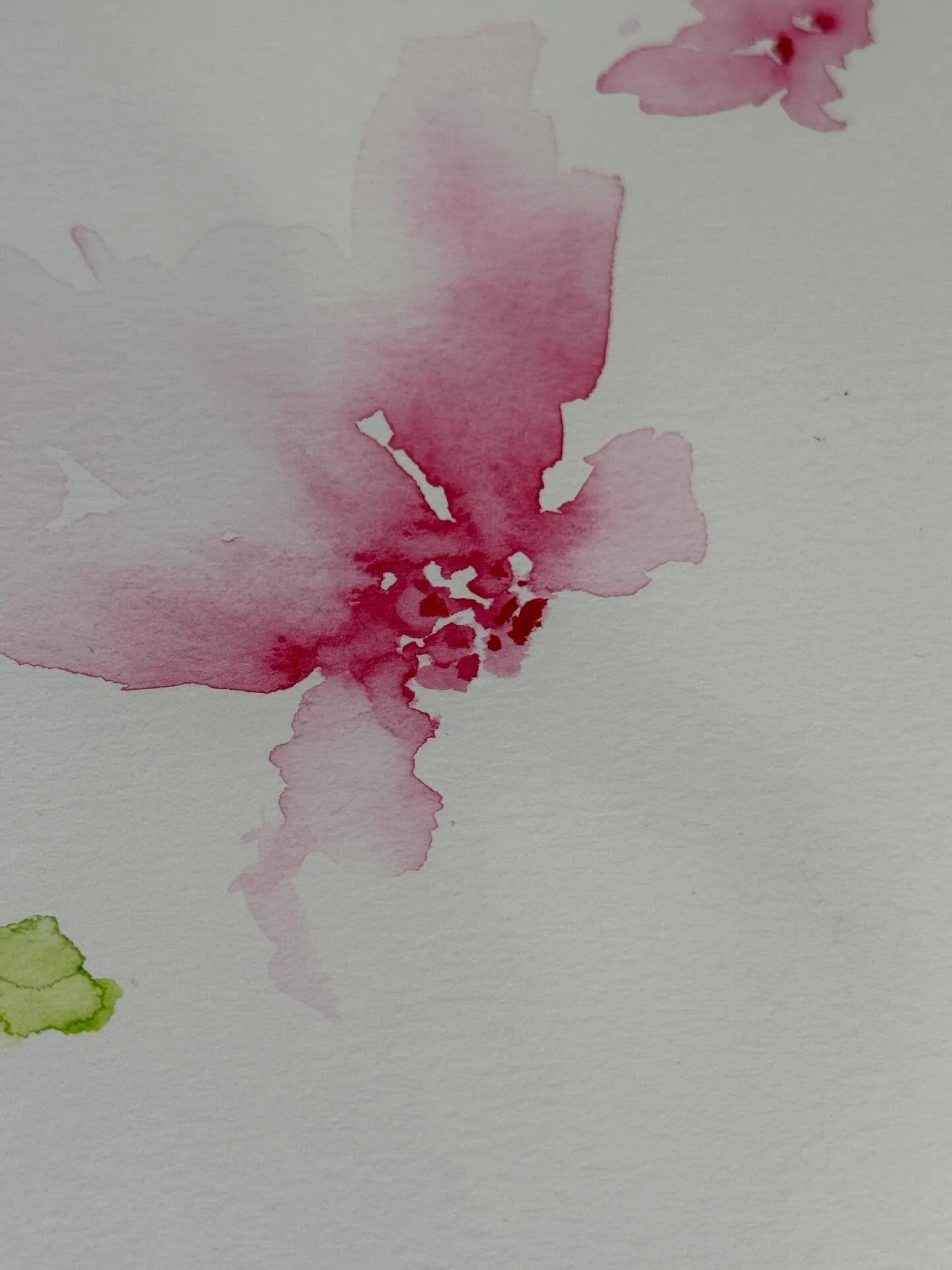 I love love love the beauty of the first blooms on a fresh white sheet of paper... I just wish I always had the restraint and patience to leave it at that! #watercolour #watercolourpainting #watercolorart #watercolourartist #watercolorart