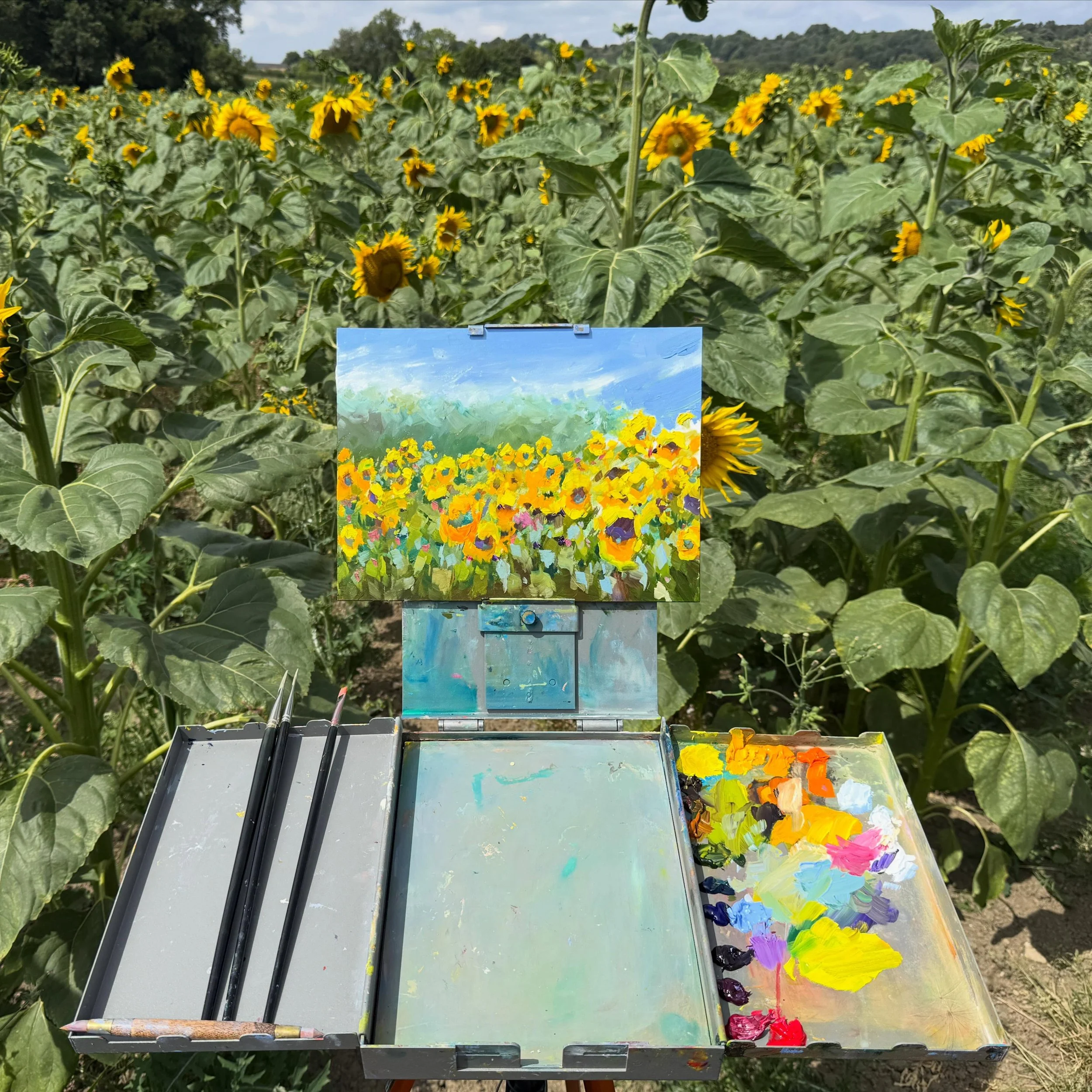 More photos from the middle of a breathtaking field here in sunny Derbyshire - no need to travel to the south of France when I can get sunburnt in the midst of thousands of sunflowers 20 minutes from home! ☀️ 🌻

#pleinair #pleinairpainting #derbyshi