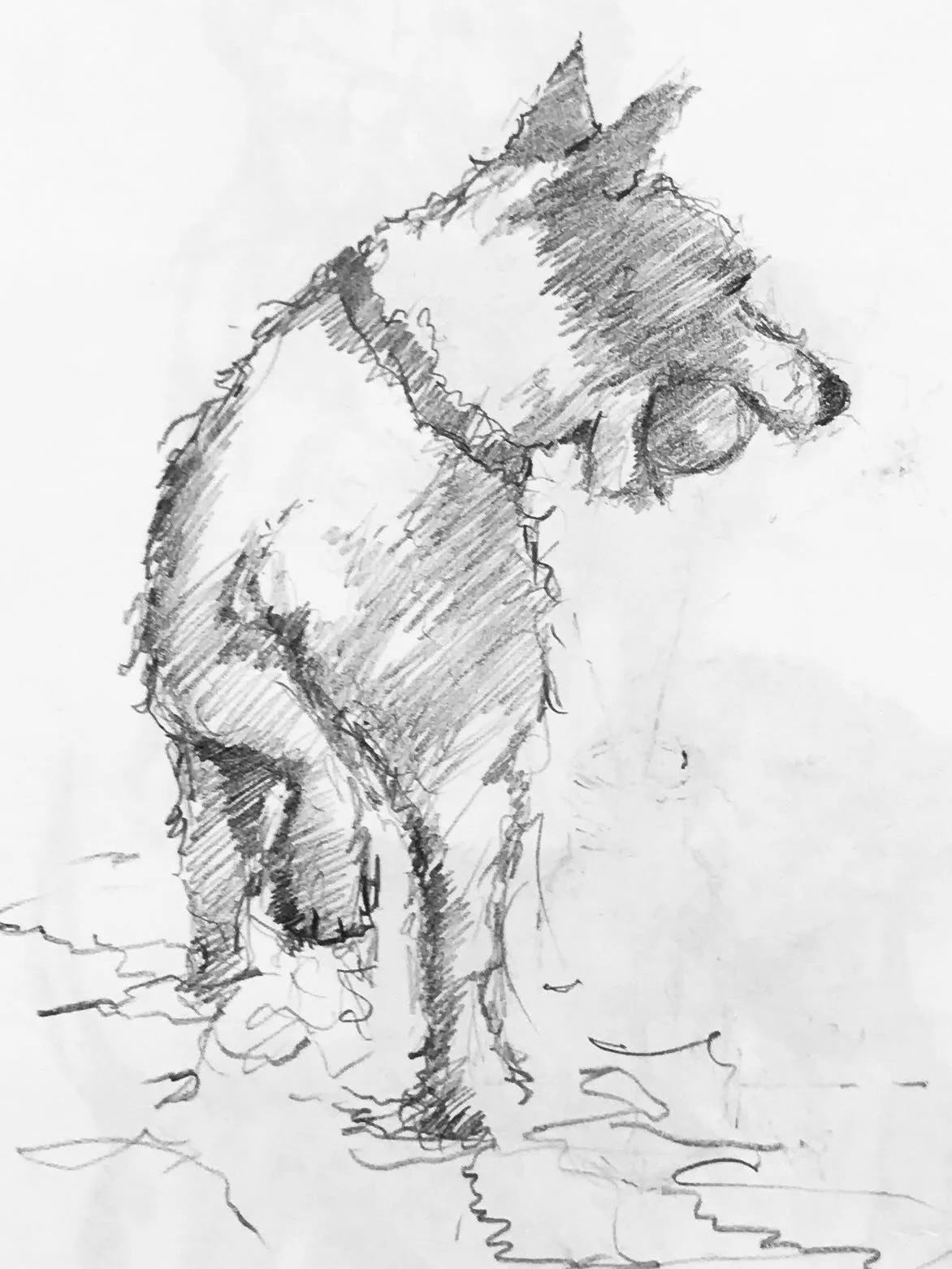 There are always lots of dogs in my sketchbooks! 🐾

#dogsketch #sketchbook #dogdrawing #dogsofinstagram