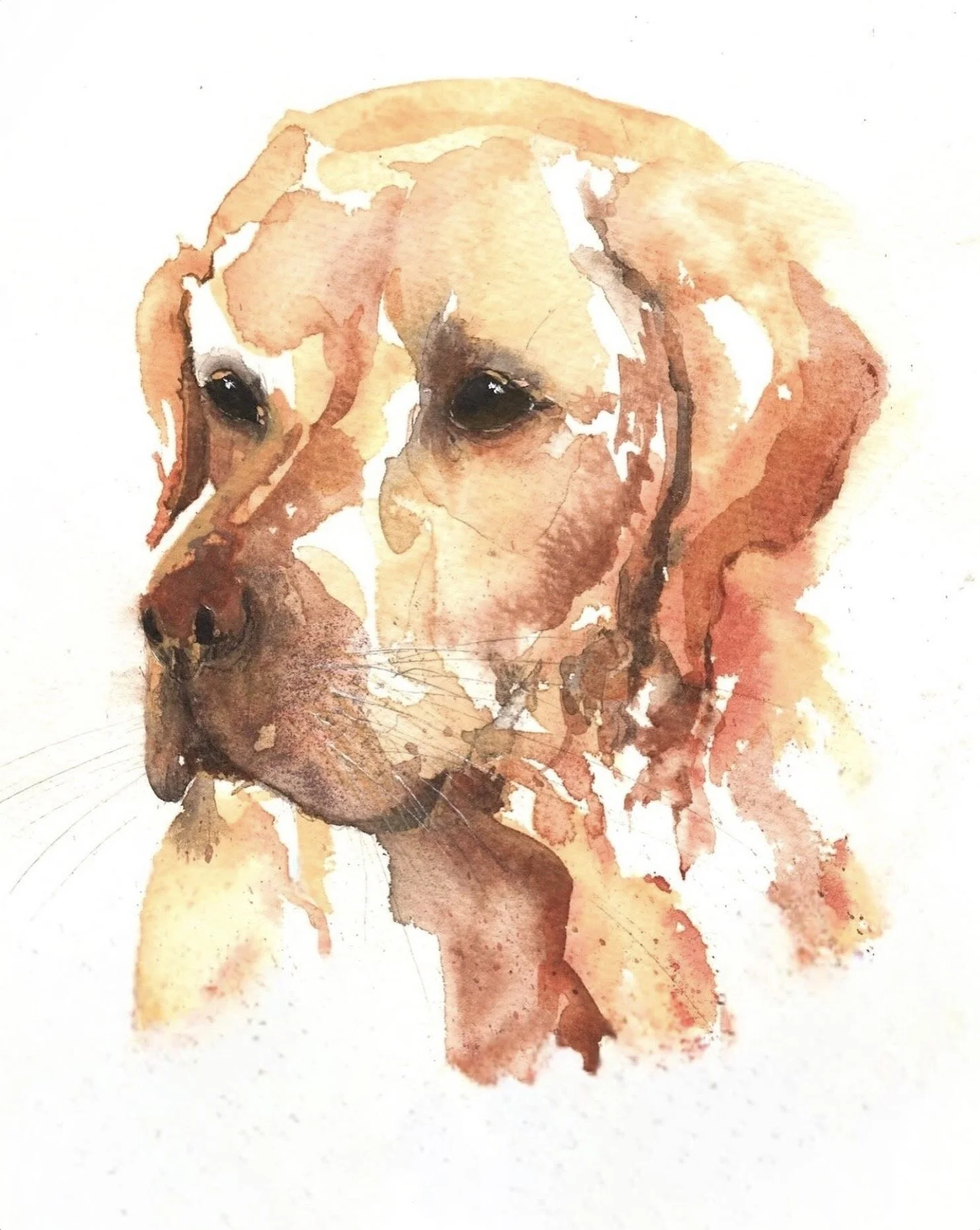 Harvey • watercolour on 12x9" paper • in the artist's collection 