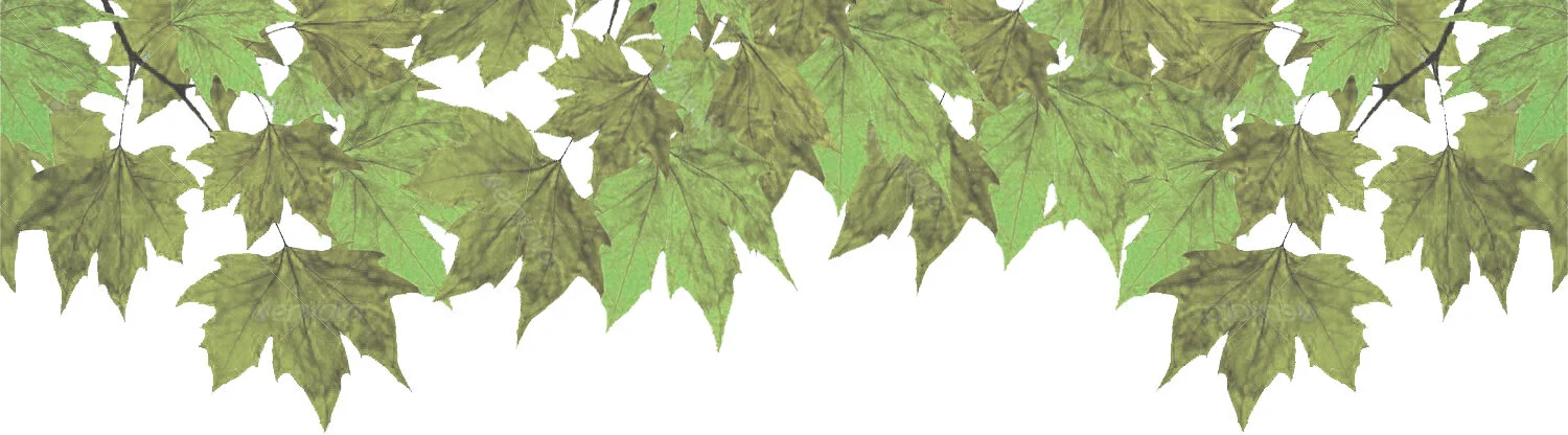 banner leaves5.jpg