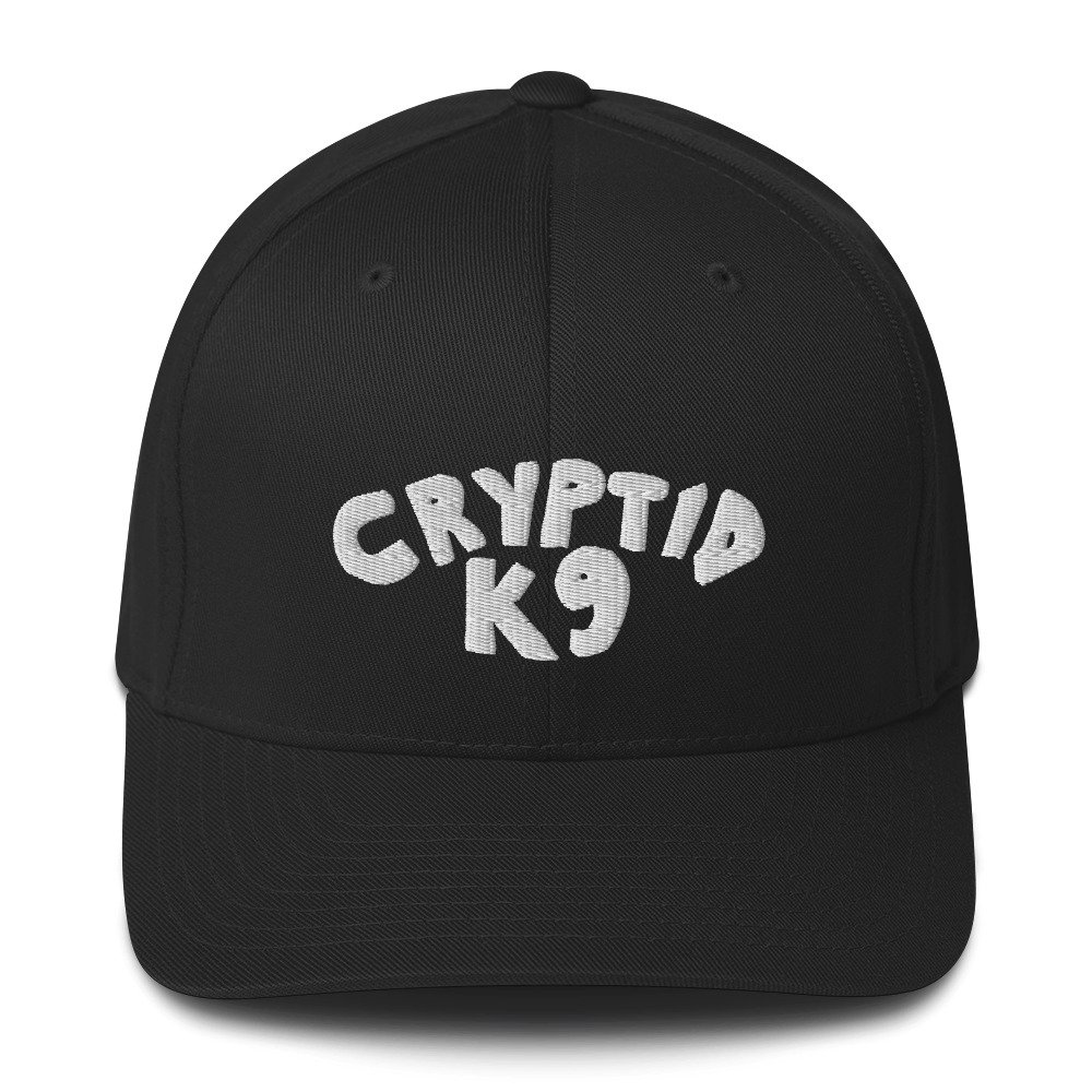 closed-back-structured-cap-black-front-63b61dc872b0e.jpg