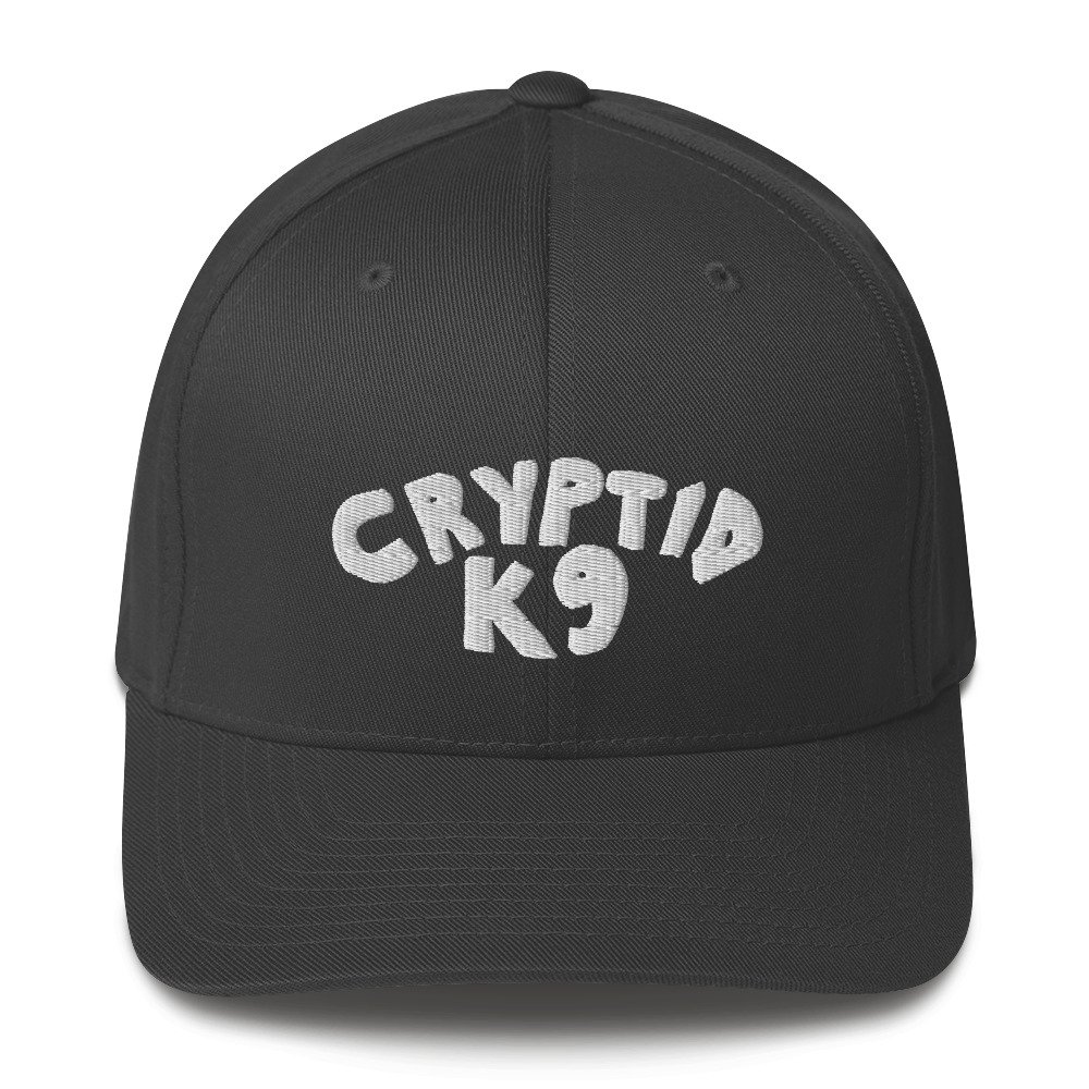 closed-back-structured-cap-dark-grey-front-63b61dc8d8e02.jpg