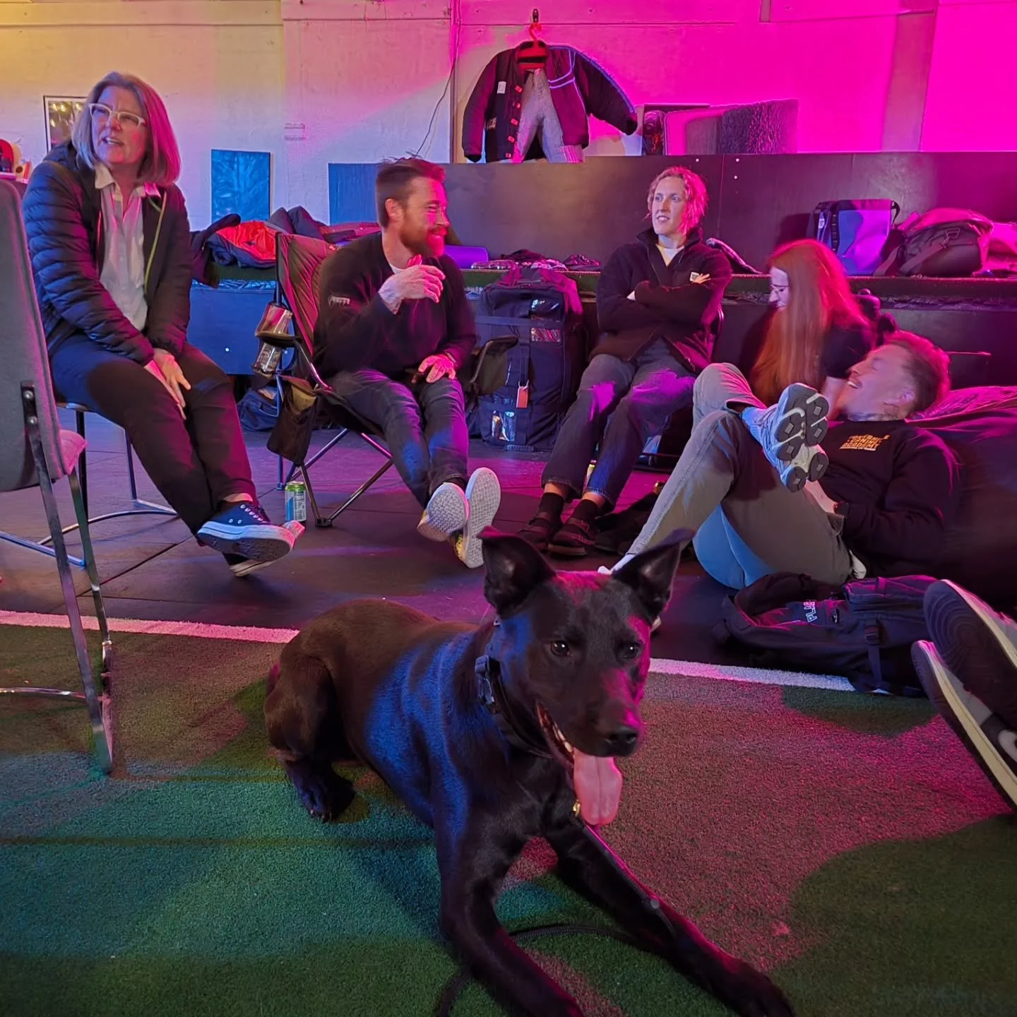 We had a wonderful weekend down in Sydney for the @yorkshire_canine_academy seminar. 
If was very cool to see our friends and hang out and Pats shop for a few days. 
Thank you @ironfistpsa for your hospitality 

Next leg of the seminar tour starts on