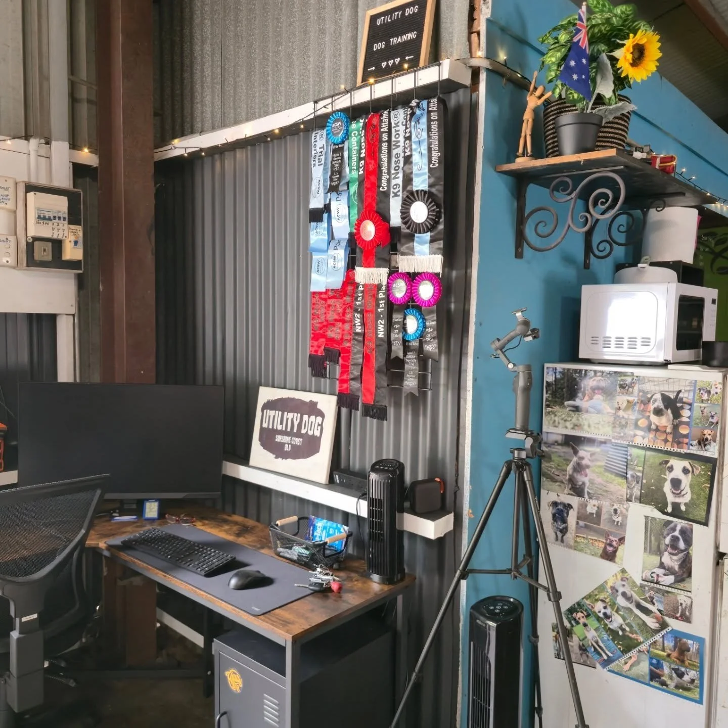 So I'm a huge fan of Easter eggs (not the chocolate ones). 

Easter eggs in pop culture are a hidden message, reference, joke etc, intentionally placed in a movie, show, game, or other media for attentive viewers to discover. Usually subtle and often