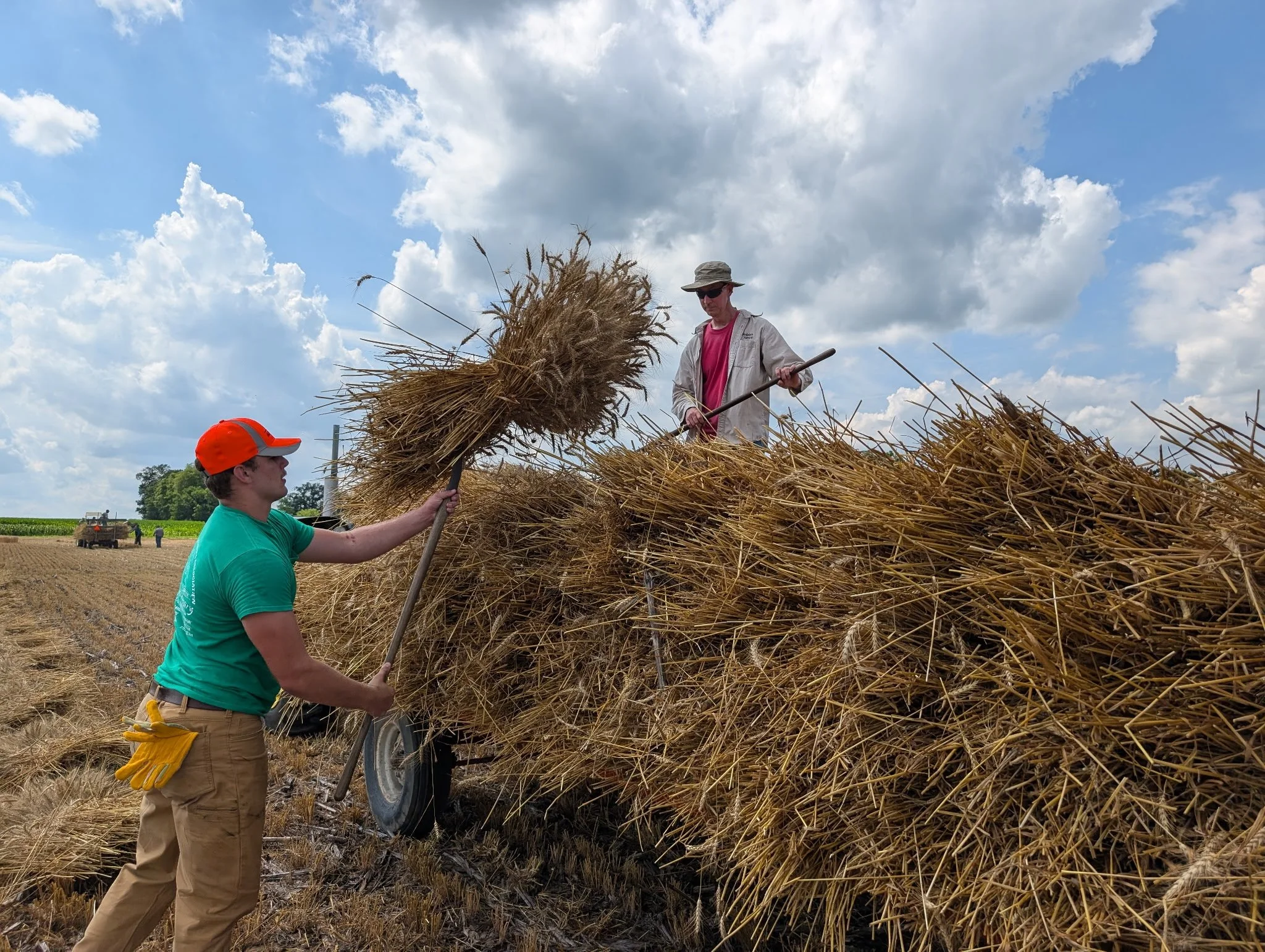 2025_WCTA_AS_Fieldwork_Baling (10).jpg