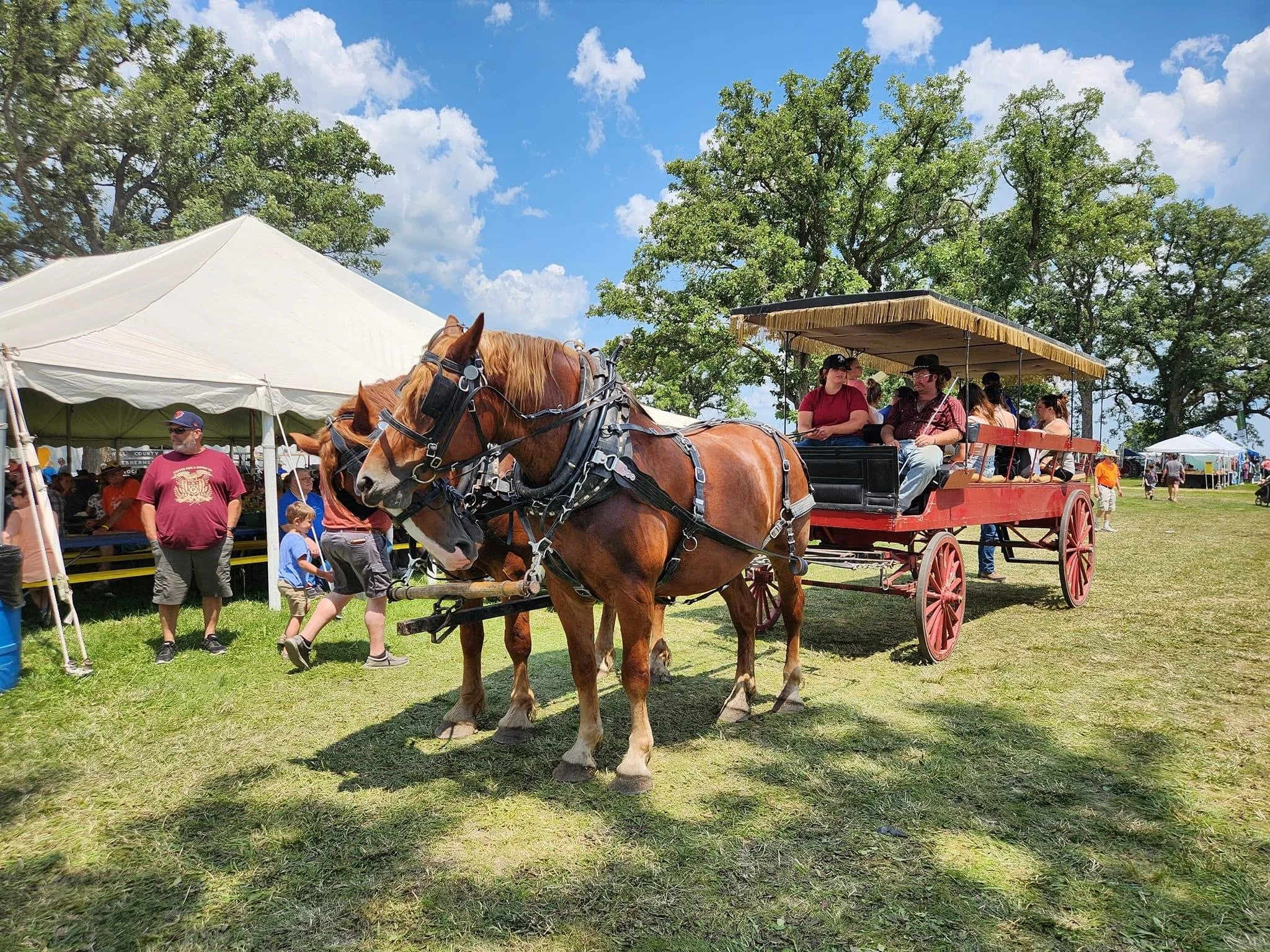 WCTA Horse and Wagon Rides