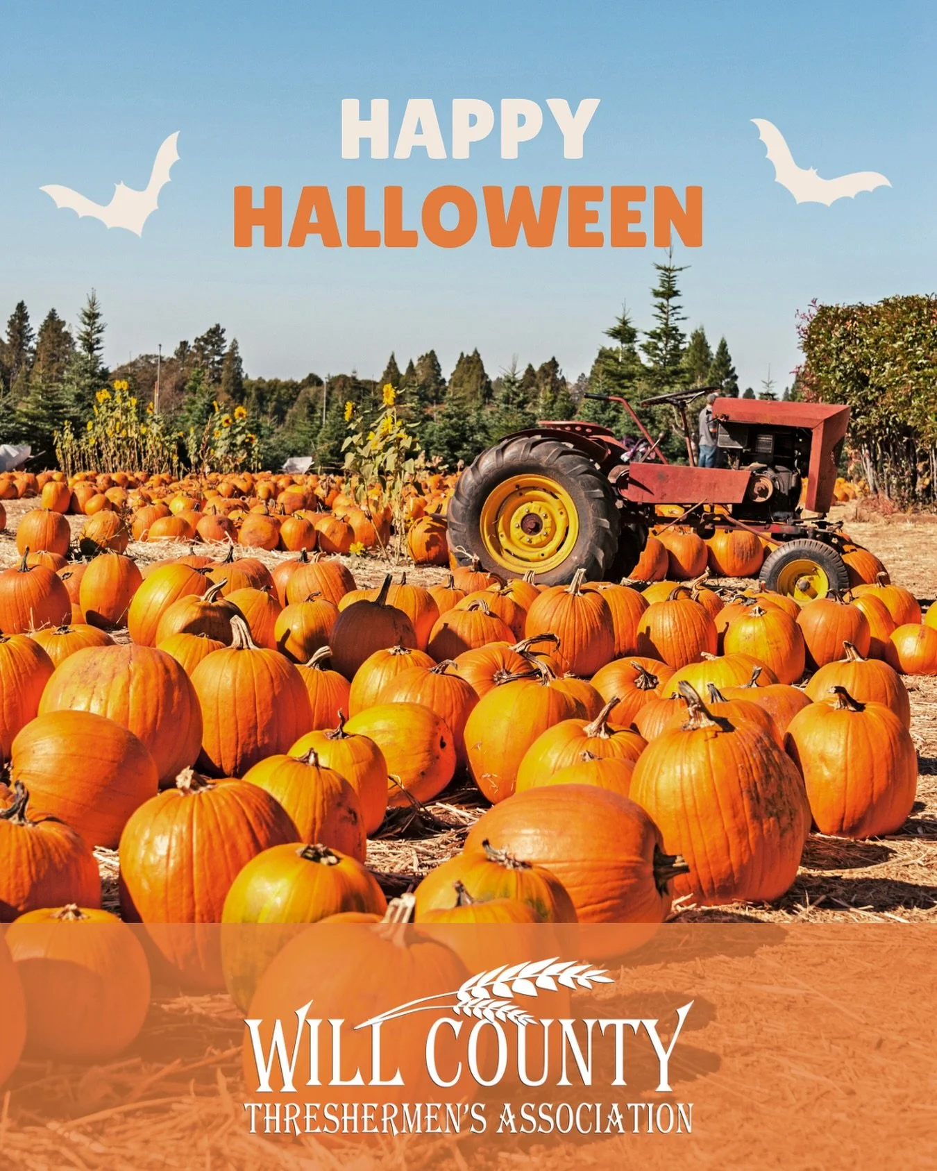 Celebrating agricultural heritage and a hauntingly good harvest. 🎃 Happy Halloween from WCTA! 👻

#willcountythresh #WCTA #WillCounty #IllinoisHistory #FarmHeritage #AgricultureHistory #PreservingThePast #AntiqueTractors #HappyHalloween #SpookySeaso